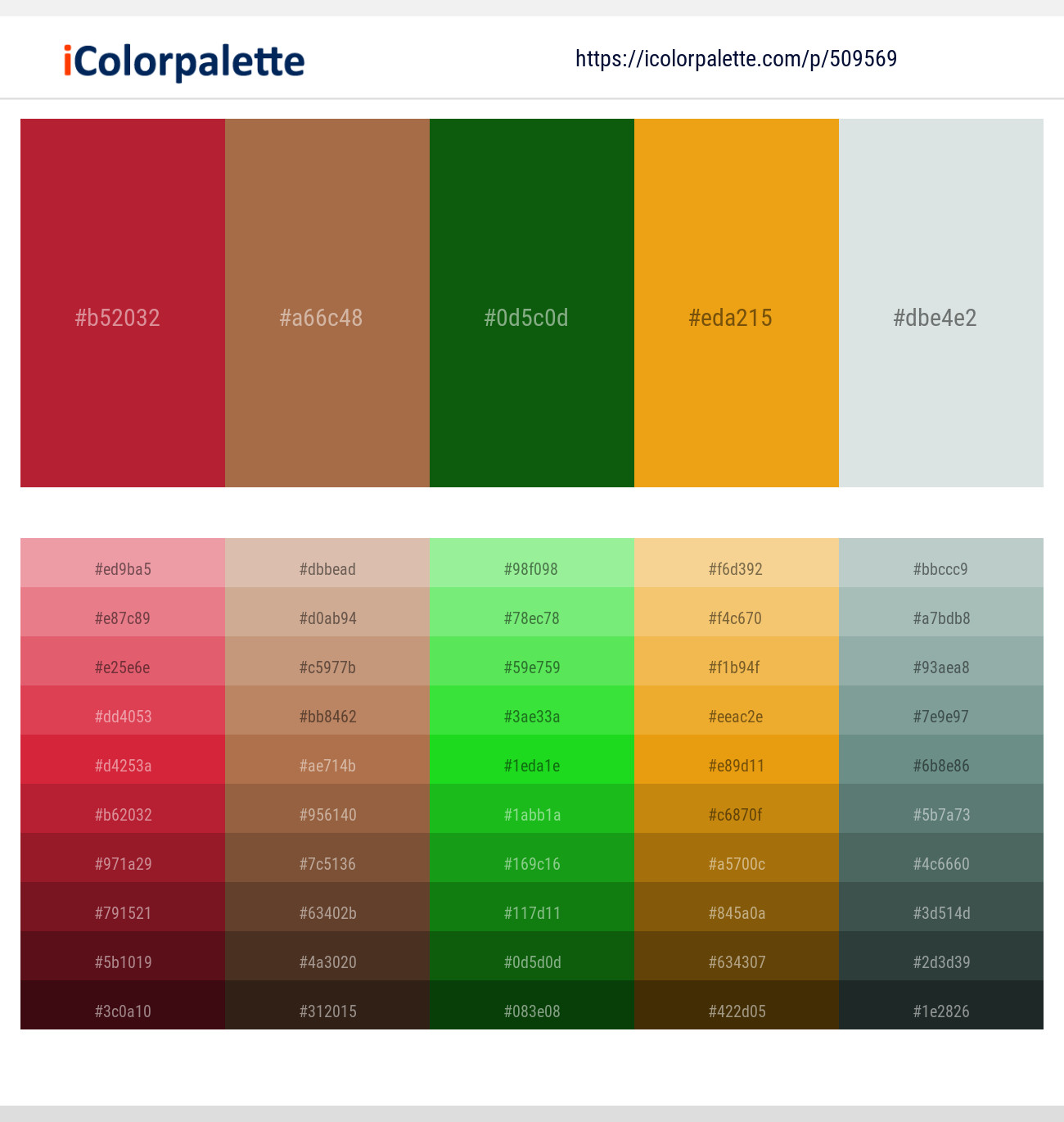 Cardinal – Cape Palliser – Dark Fern – Gamboge – Nebula Color scheme