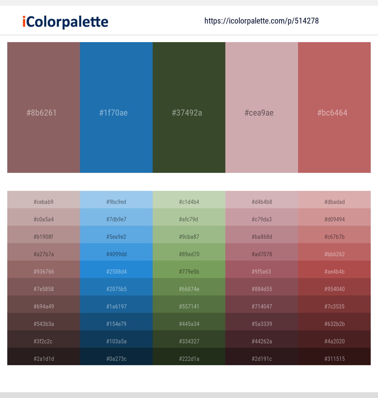 Copper Rose – Matisse – Green Kelp – Clam Shell – Contessa Color scheme