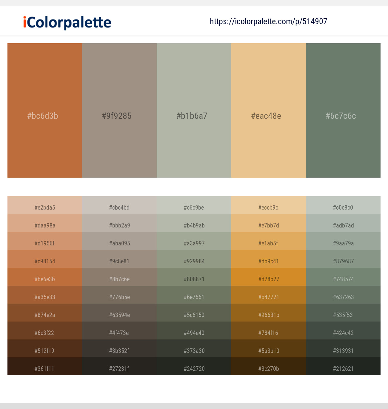 Copper – Zorba – Eagle – Gold Sand – Xanadu Color scheme