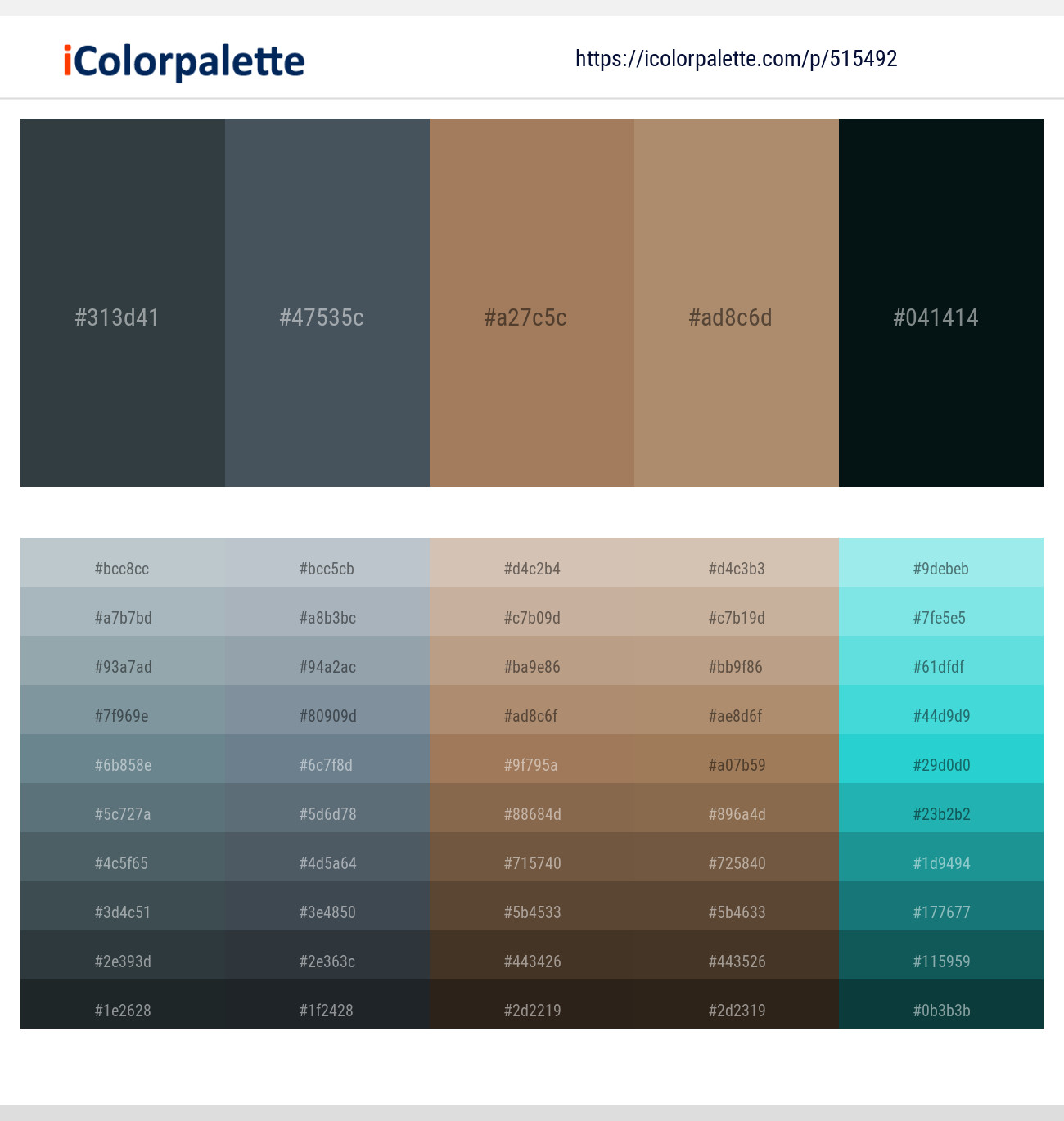 Outer Space – River Bed – Barley Corn – Sandal – Bottle Green Color scheme