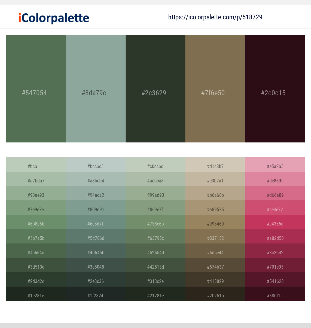 Cactus – Pewter – Heavy Metal – Shadow – Coffee Bean Color scheme