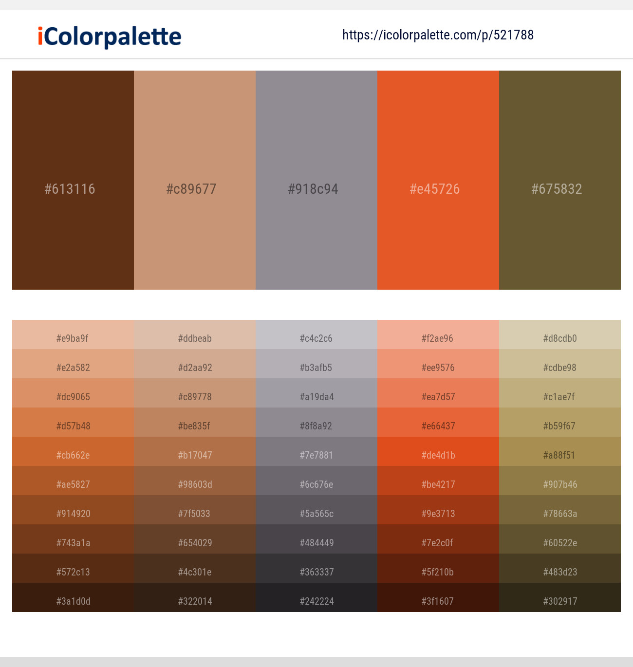 Jambalaya – Antique Brass – Mountain Mist – Cinnabar – Costa Del Sol Color scheme