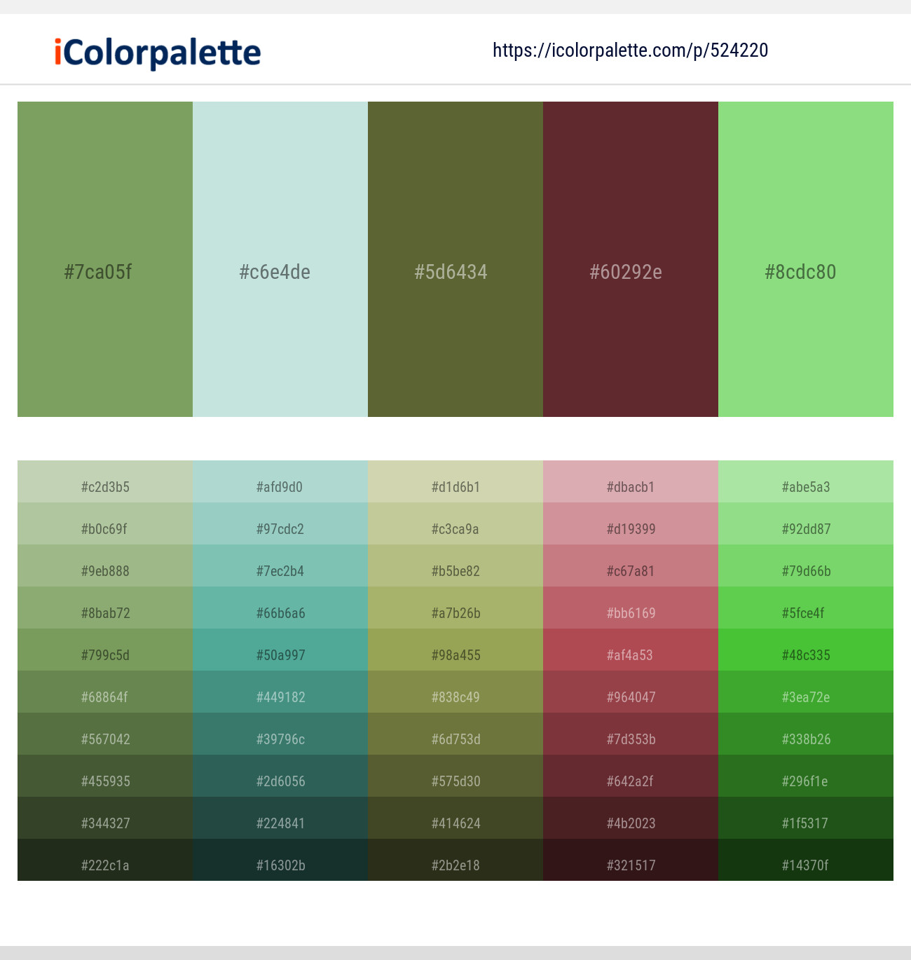 Asparagus – Skeptic – Costa Del Sol – Buccaneer – Feijoa Color scheme