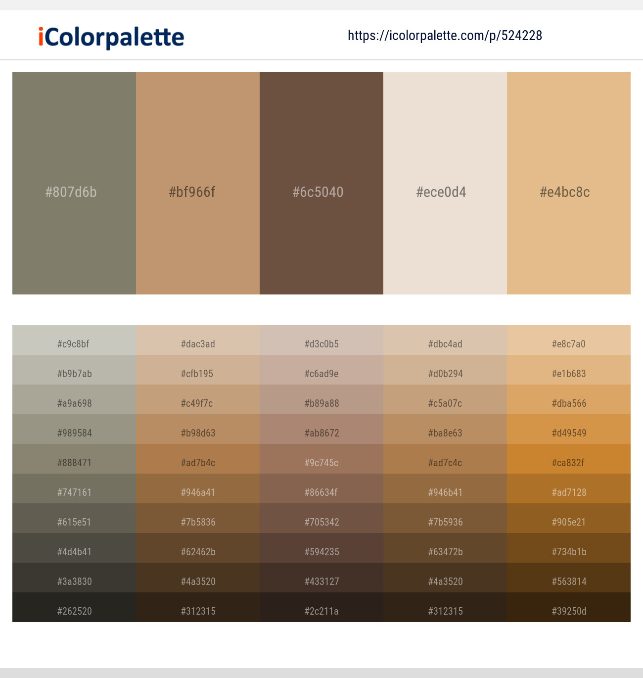 Bandicoot – Muddy Waters – Tobacco Brown – Bizarre – Gold Sand Color scheme
