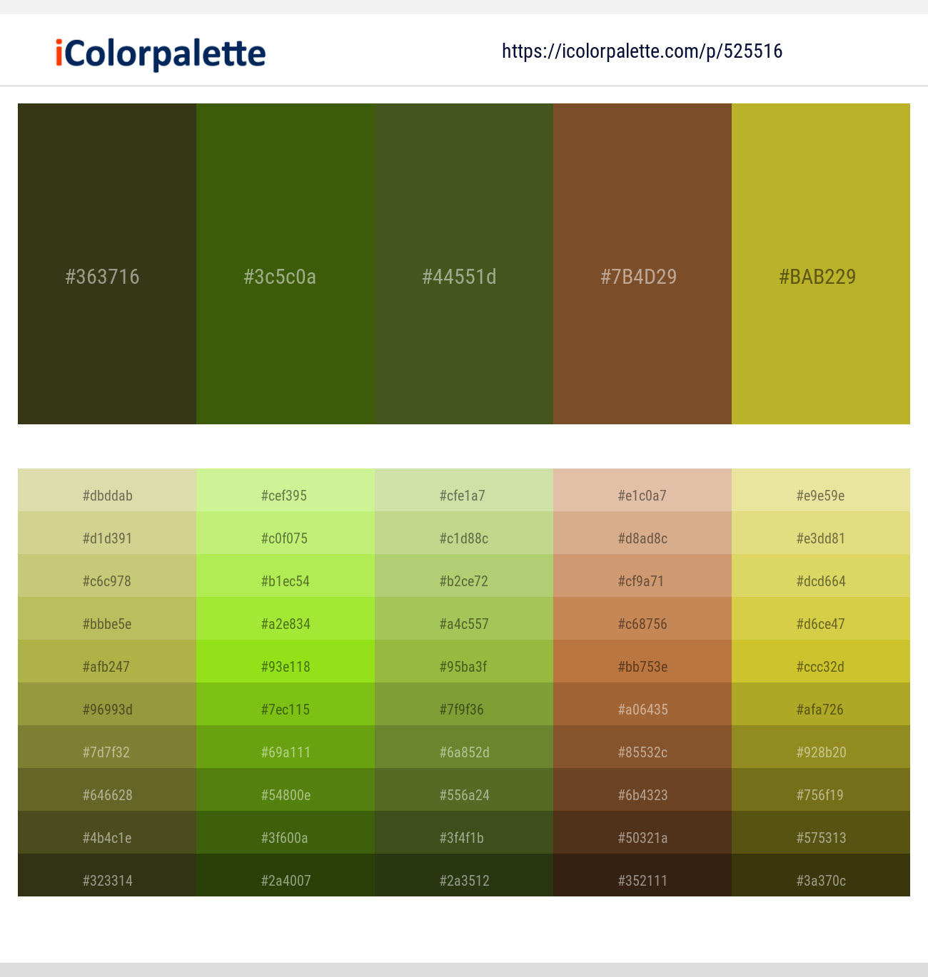 Thatch Green – Green Leaf – Thatch Green – Nutmeg – Hokey Pokey Color scheme