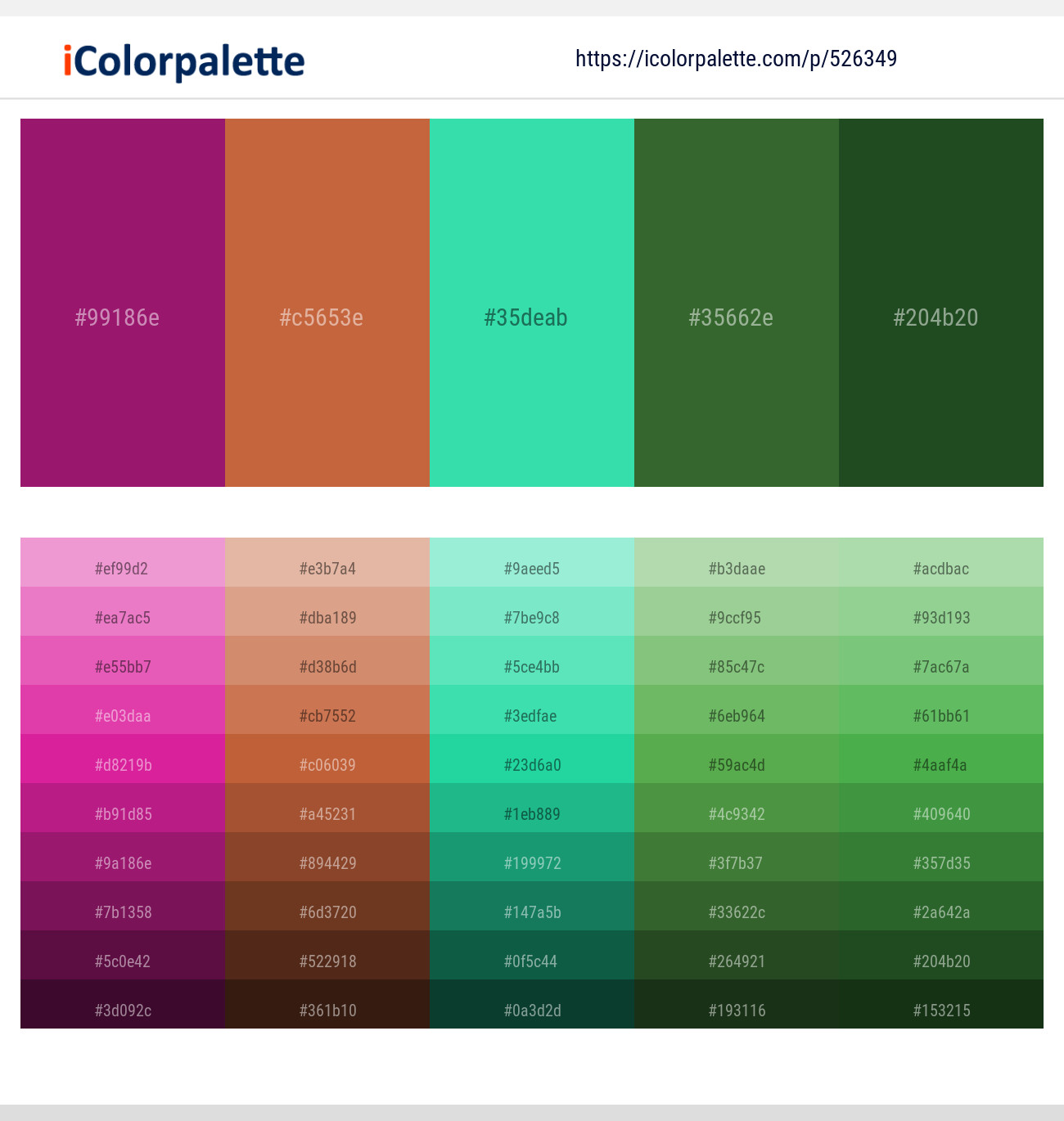 Disco – Copper – Turquoise – Killarney – Everglade Color scheme