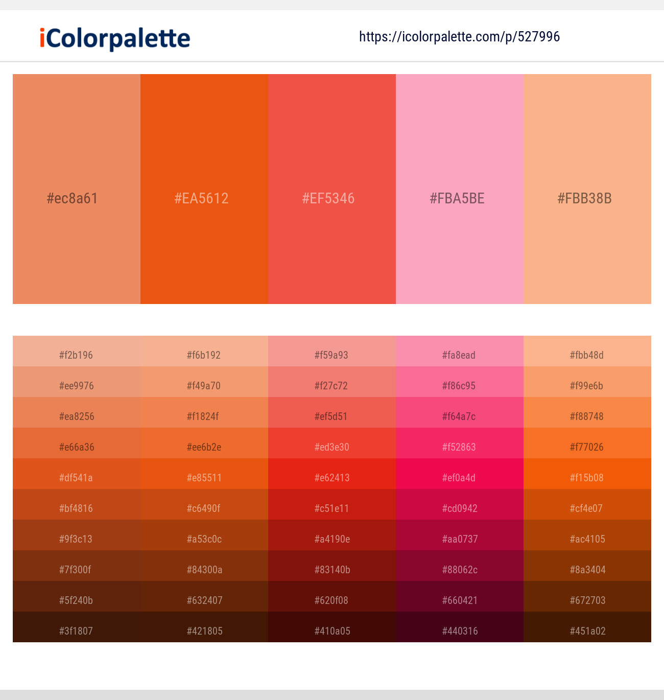 527996Apricot – Pomegranate – Flamingo – Lavender Pink – Hit Pink Color scheme