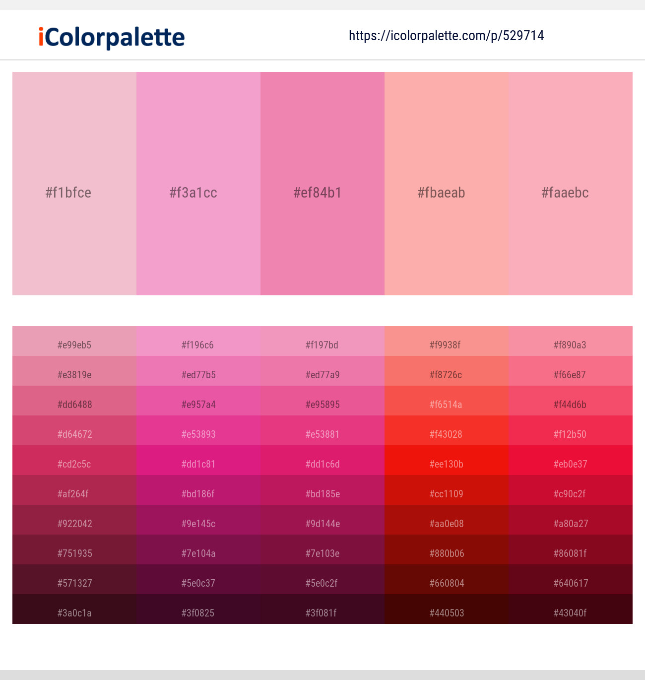 529714Beauty Bush – Illusion – Mauvelous – Rose Bud – Lavender Pink Color scheme