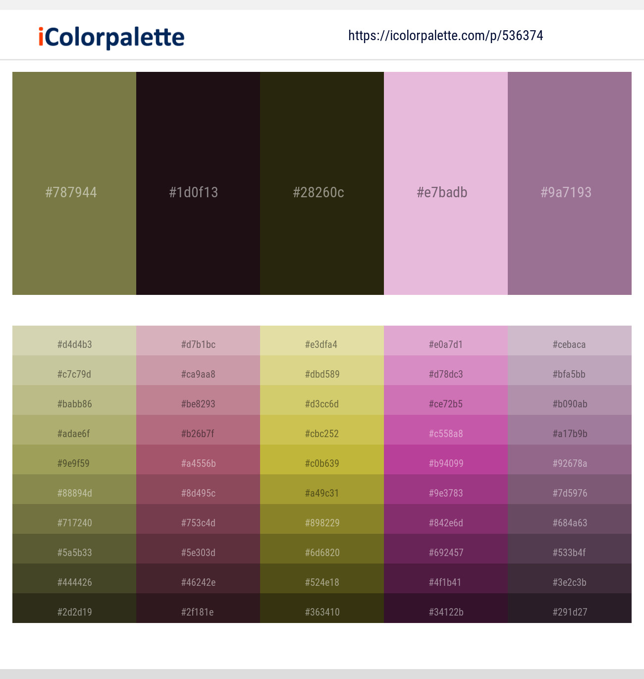 536374 color palette
