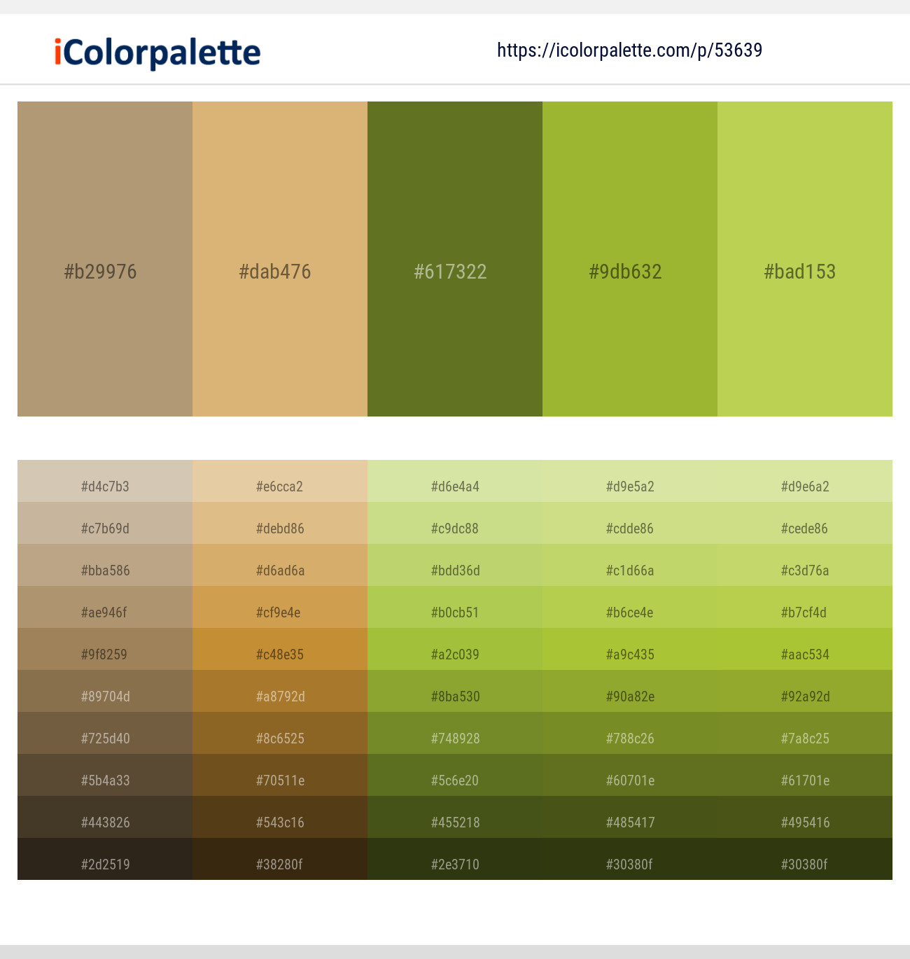 Mongoose – Harvest Gold – Fern Frond – Sushi – Turmeric Color scheme