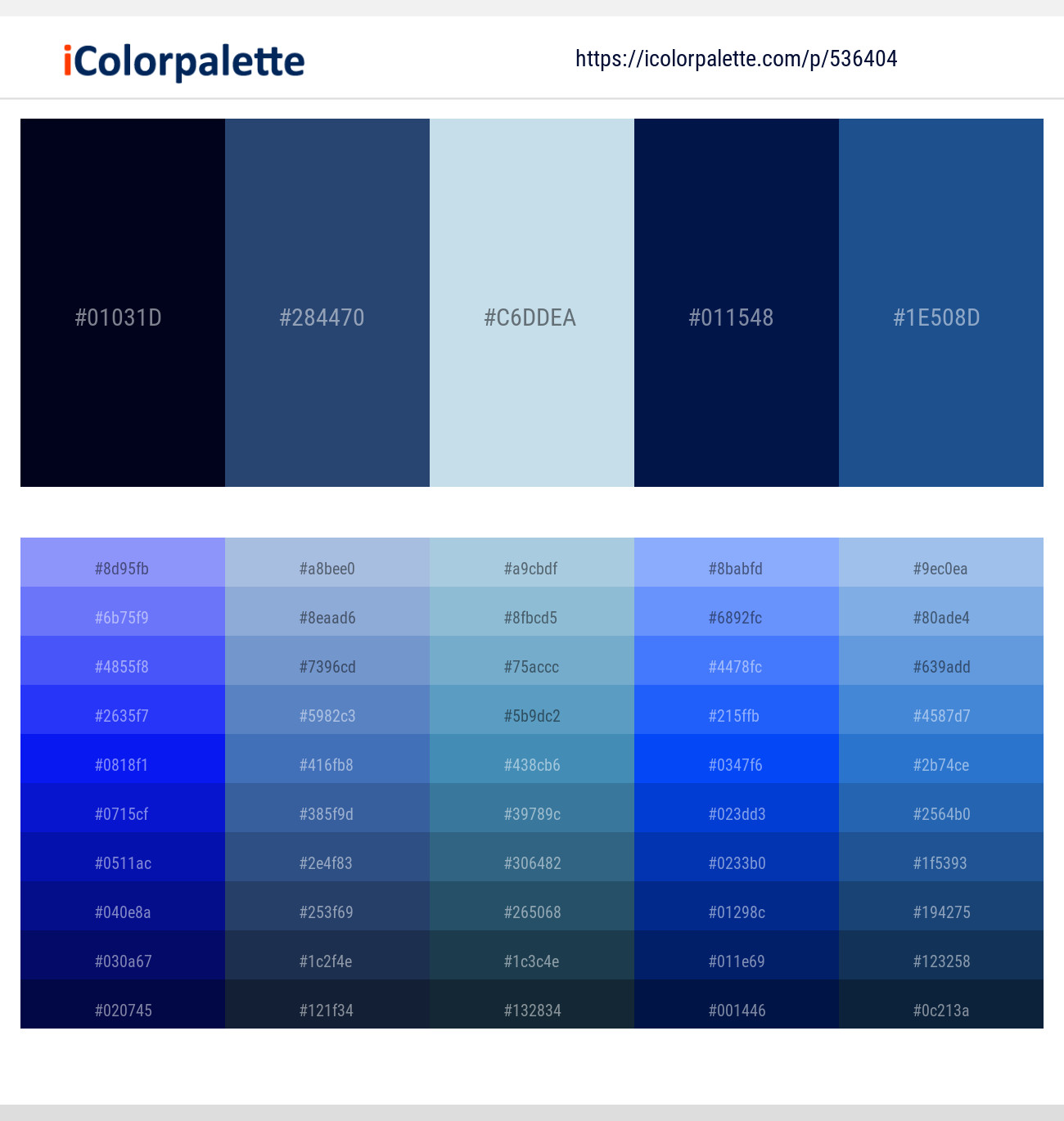 Midnight Blue and Powder Blue Color Palette