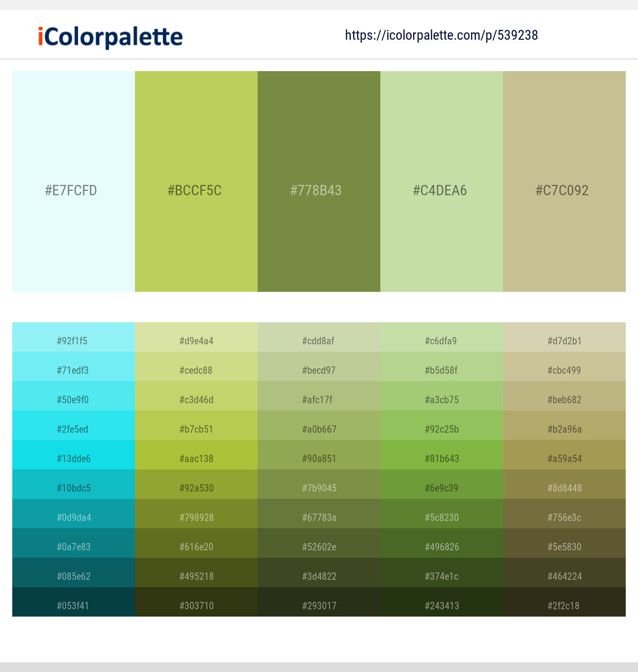 Foam – Celery – Sycamore – Deco – Yuma Color scheme