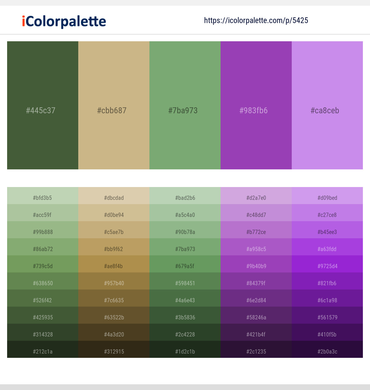 Tom Thumb – Sorrell Brown – Amulet – Studio – Biloba Flower Color scheme