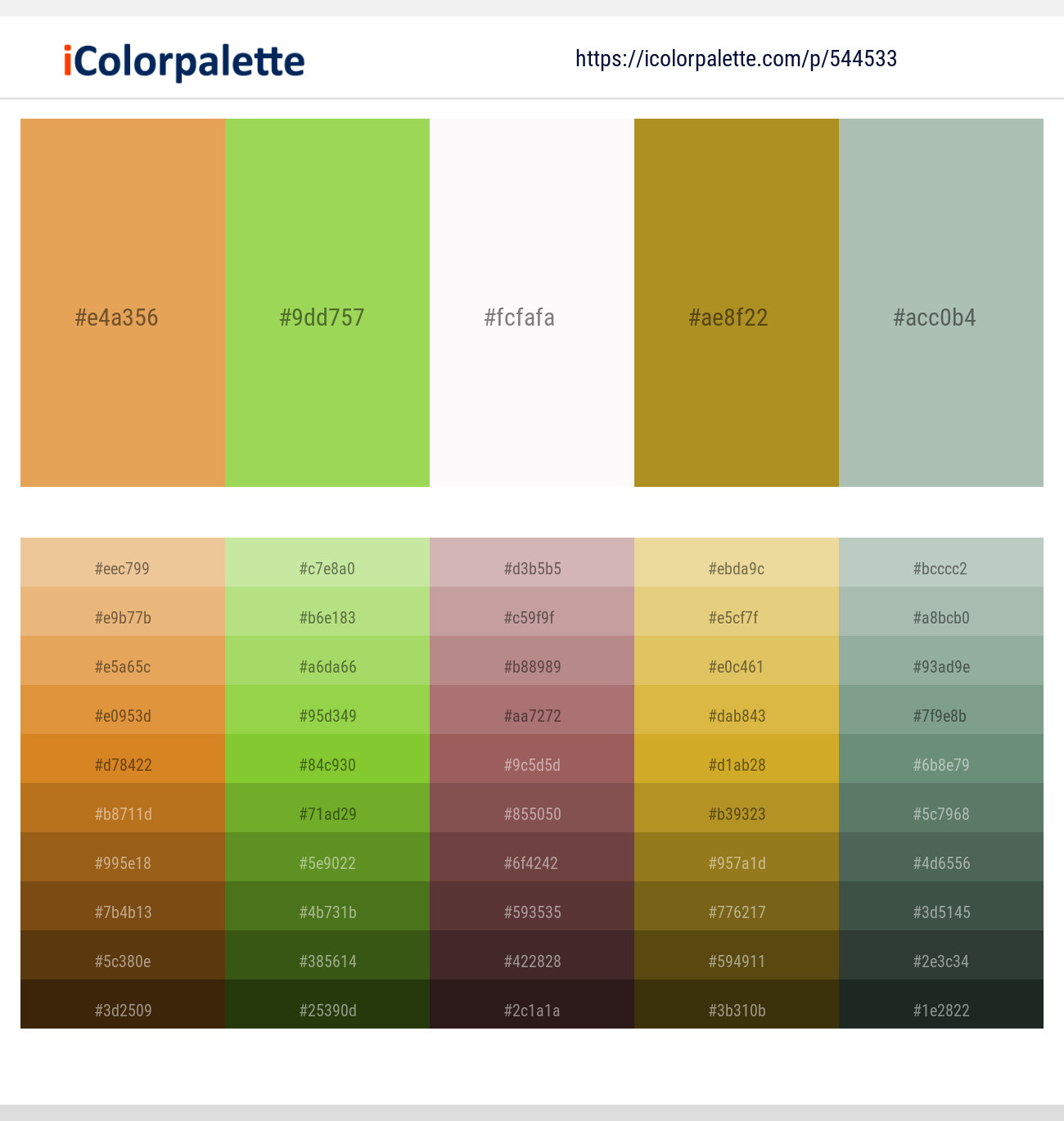 544533Porsche – Conifer – Hint of Red – Lemon Ginger – Powder Ash Color scheme