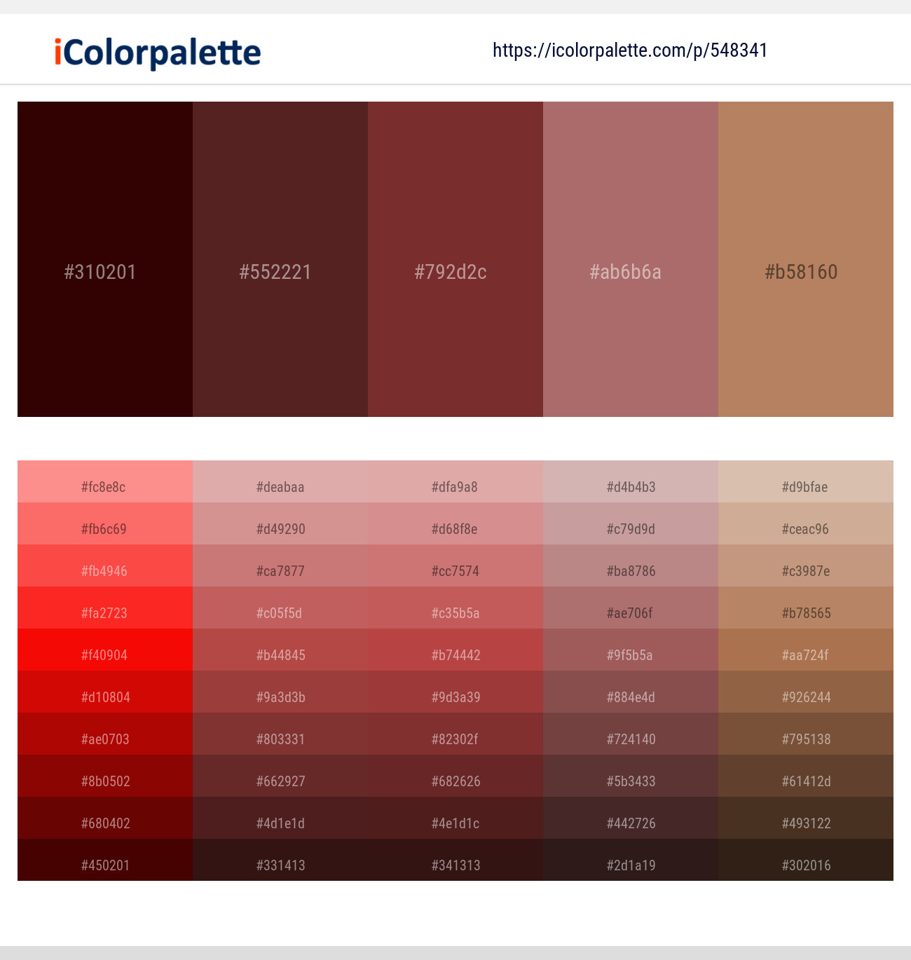 Chocolate – Cocoa Bean – Nutmeg – Coral Tree – Muddy Waters Color scheme