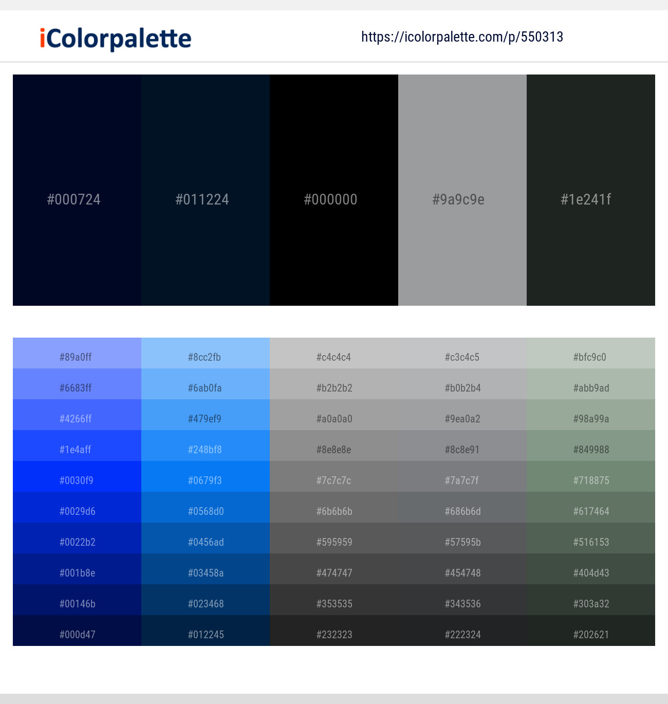 170+ Latest Color Schemes with Blue Charcoal Color tone combinations, 2024
