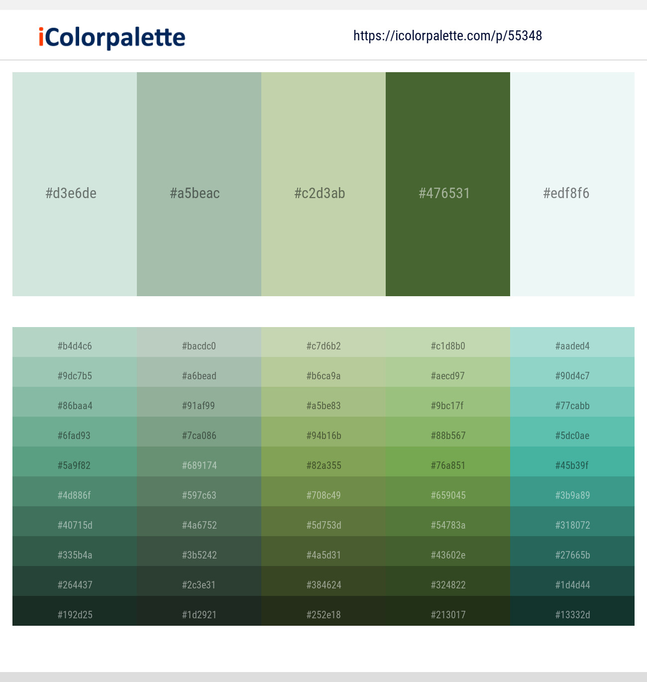 Edgewater – Summer Green – Sprout – Chalet Green – Black Squeeze Color scheme