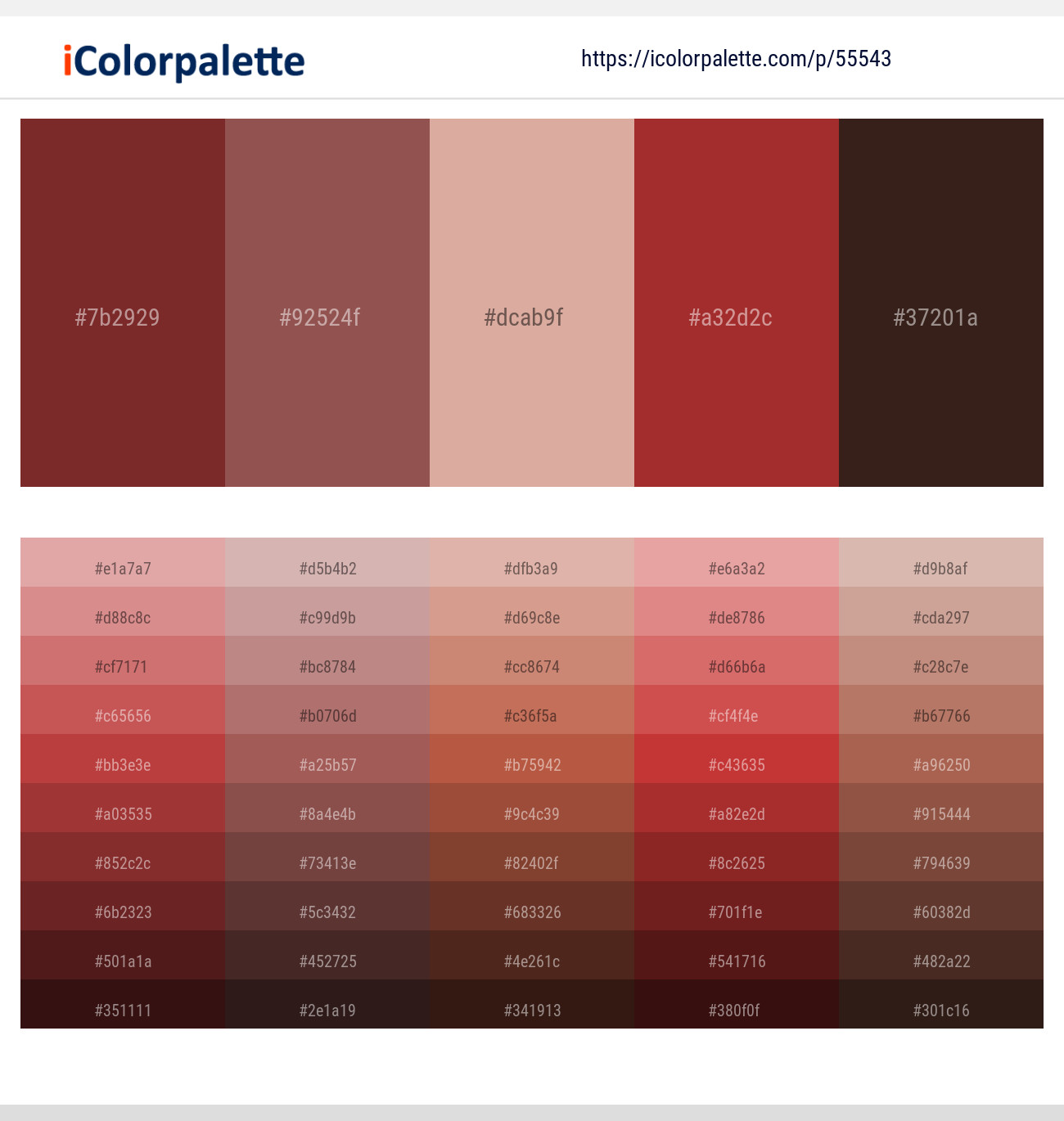 2+ Copper Rust And Cameo Color Palettes & Gradient Ideas | iColorPalette