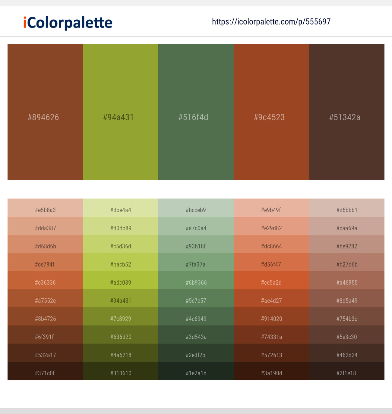 Burnt Umber – Sushi – Axolotl – Cumin – Saddle Color scheme