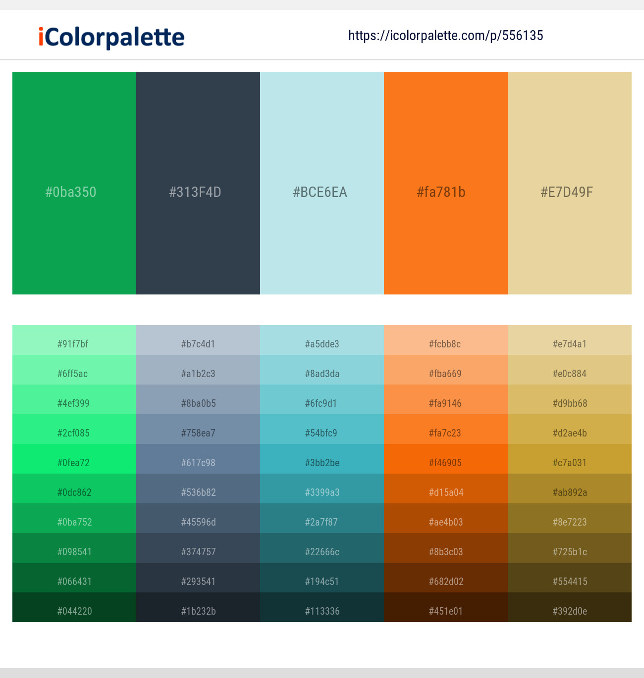 556135Salem – Oxford Blue – Powder Blue – Ecstasy – Zombie Color scheme