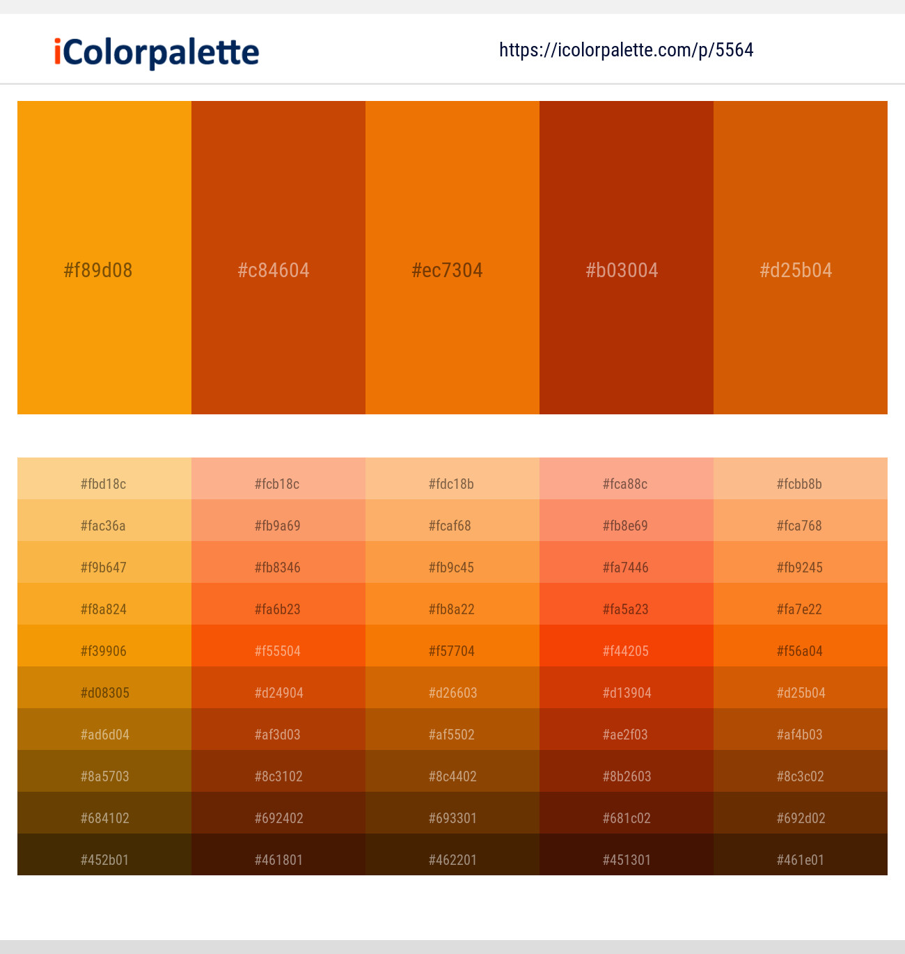 556445 Gold Color Palettes