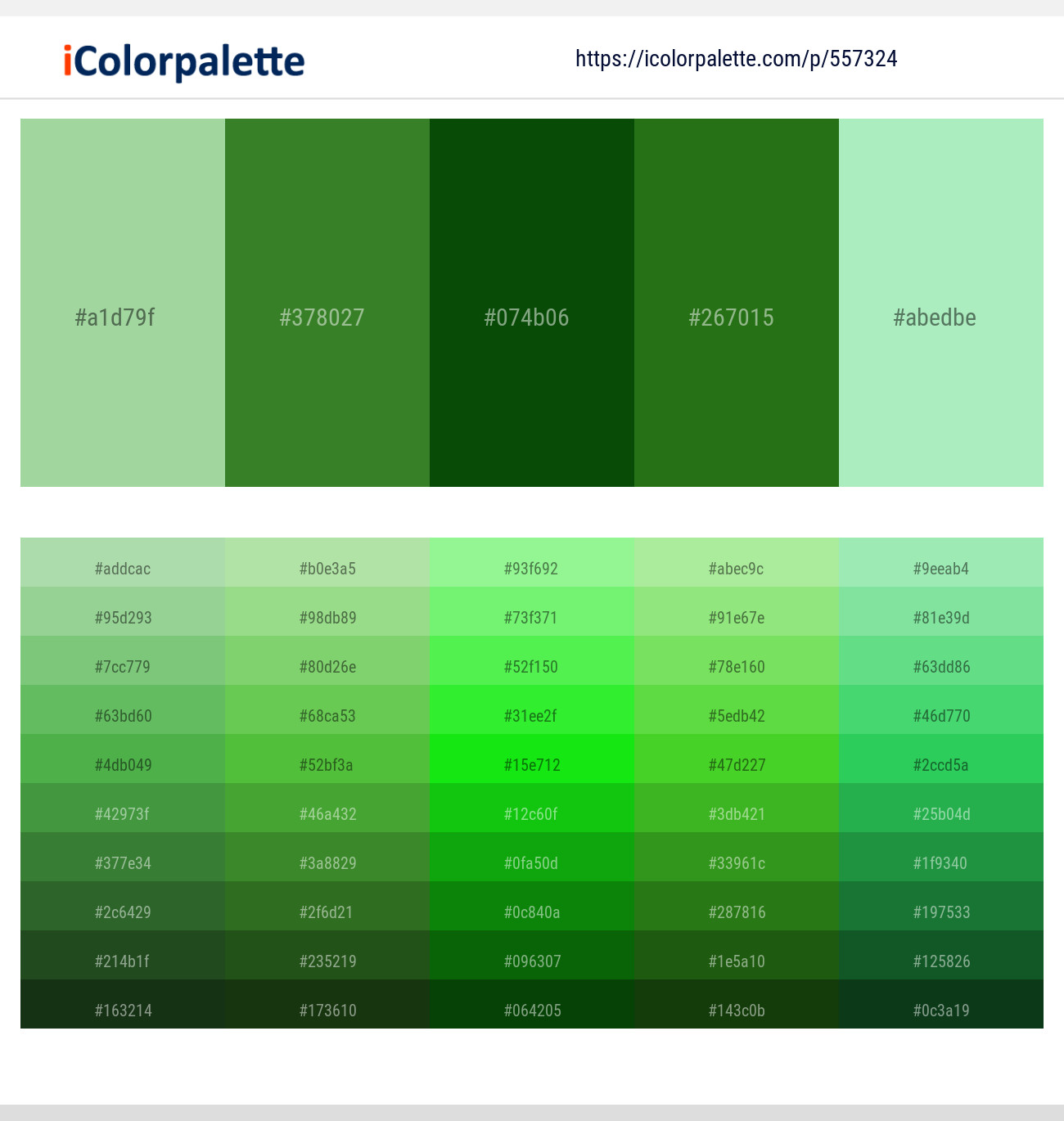 320+ Latest Color Schemes with Moss Green Color tone combinations