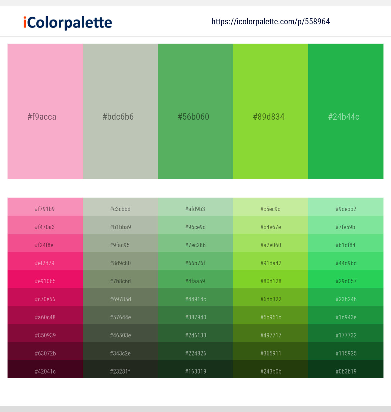 558964Lavender Pink – Green Spring – Fern – Atlantis – Eucalyptus Color scheme