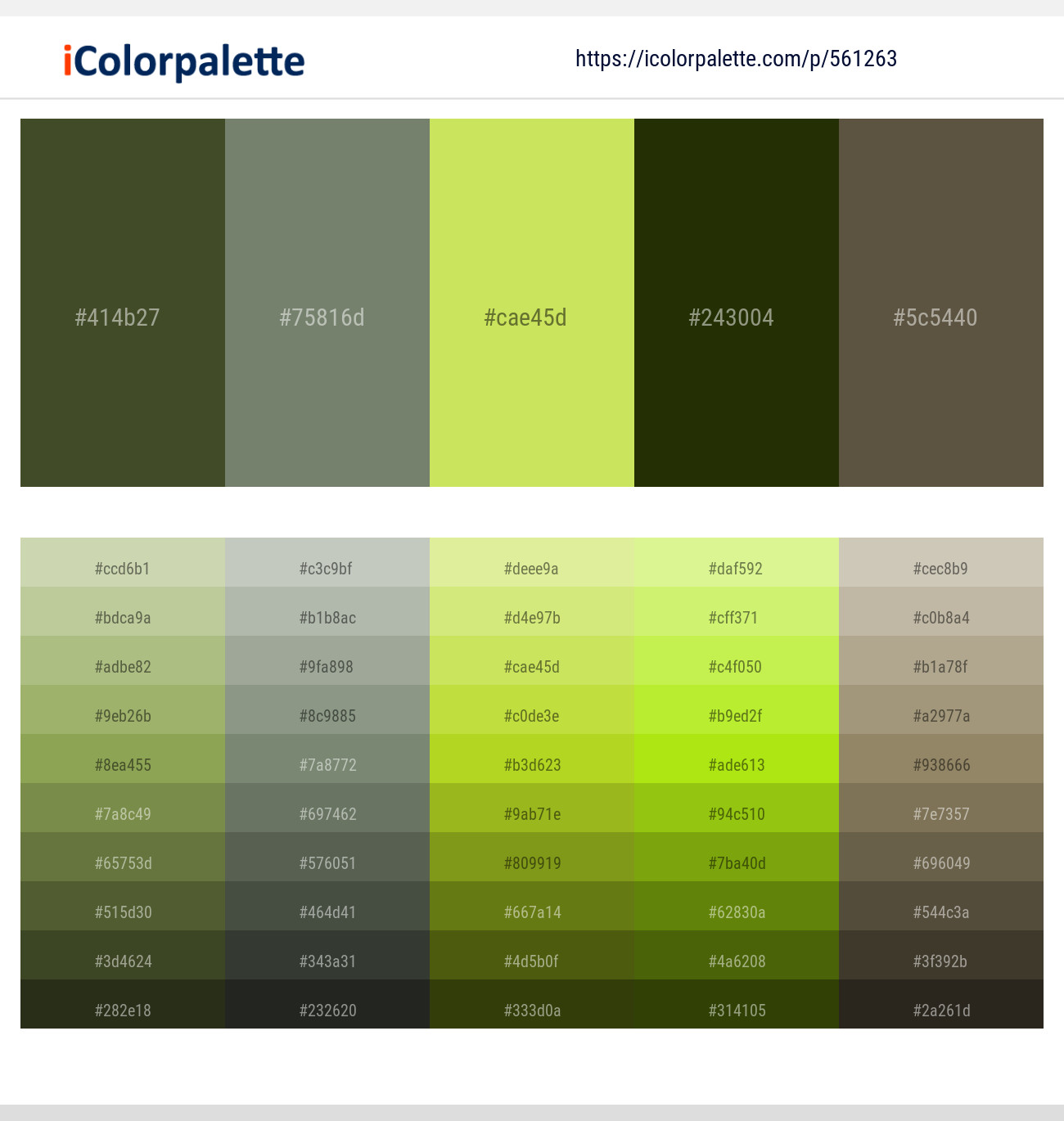 100+ Latest Color Schemes with Khaki And Dark Green Color tone combinations, 2024