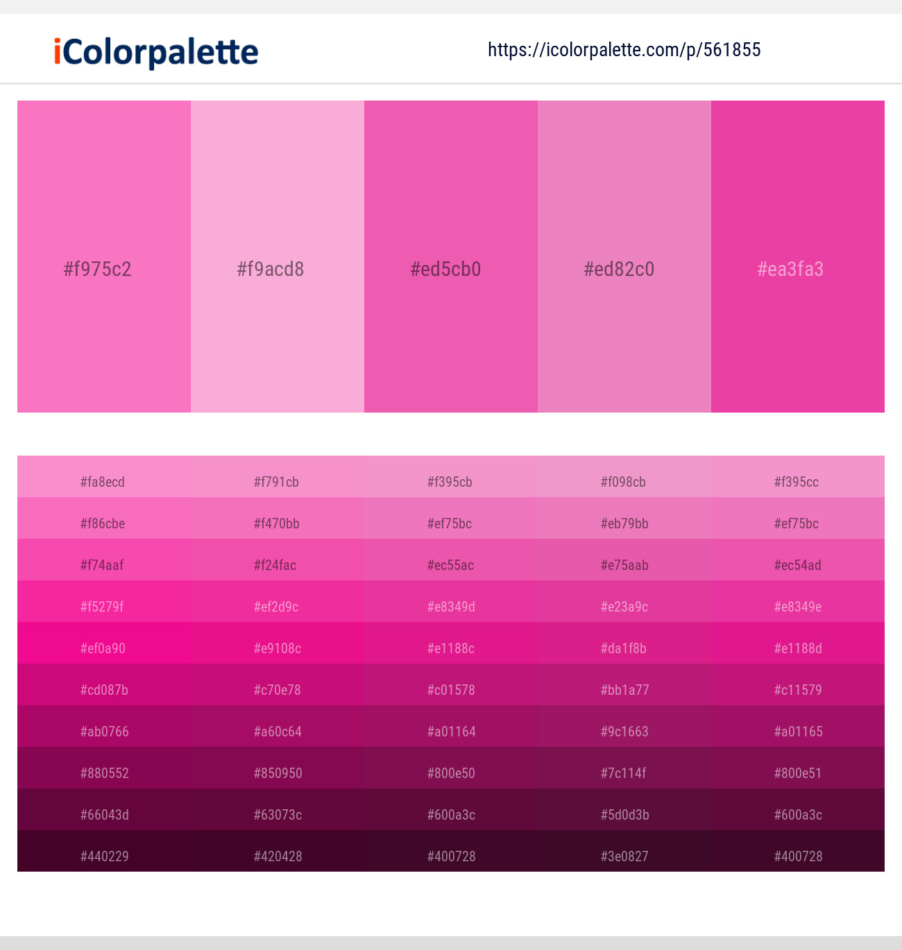 561855Persian Pink – Lavender Pink – Brilliant Rose – Carissma – Brilliant Rose Color scheme