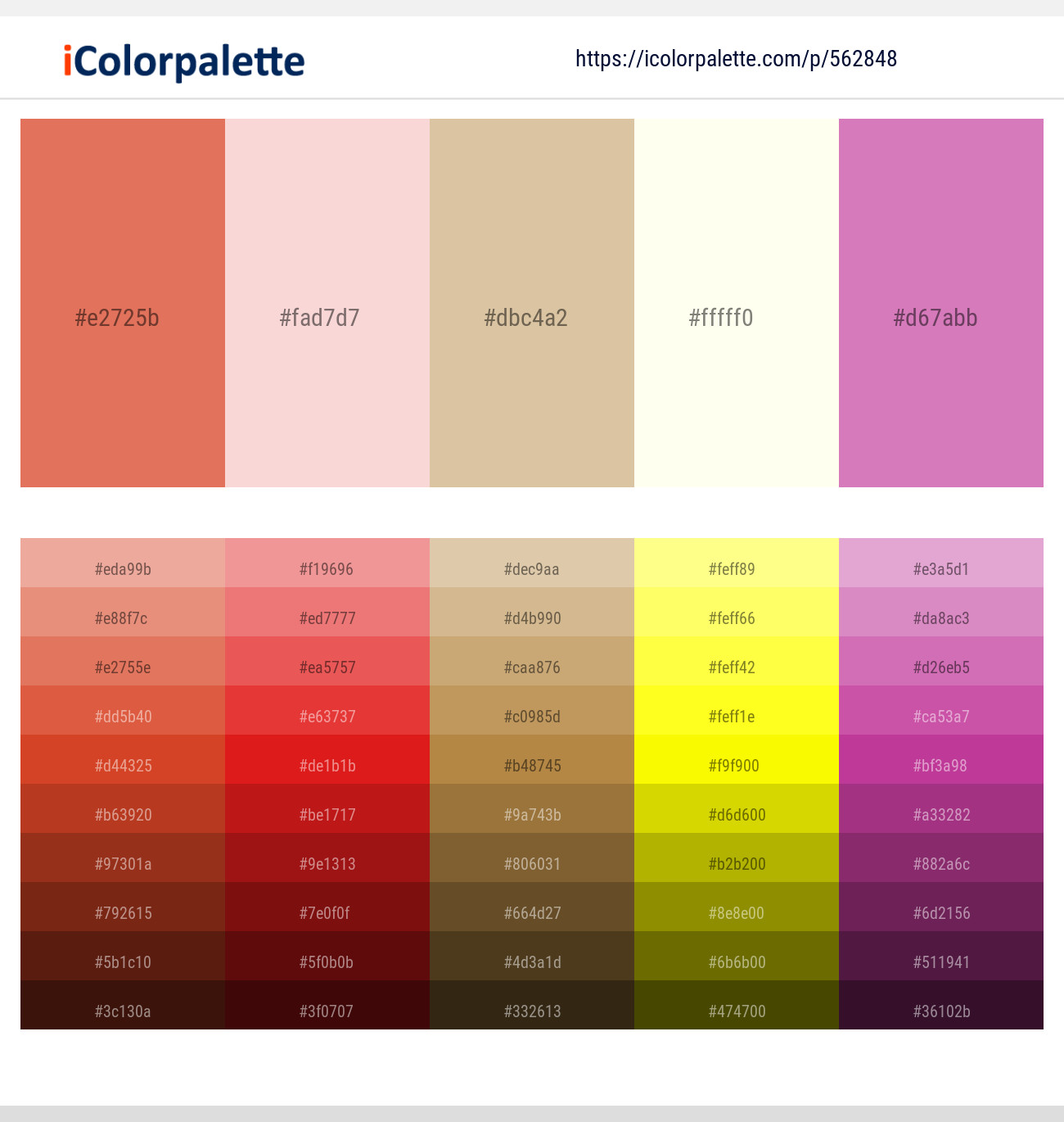 Terracotta – Azalea – Pavlova – Ivory – Hopbush Color scheme