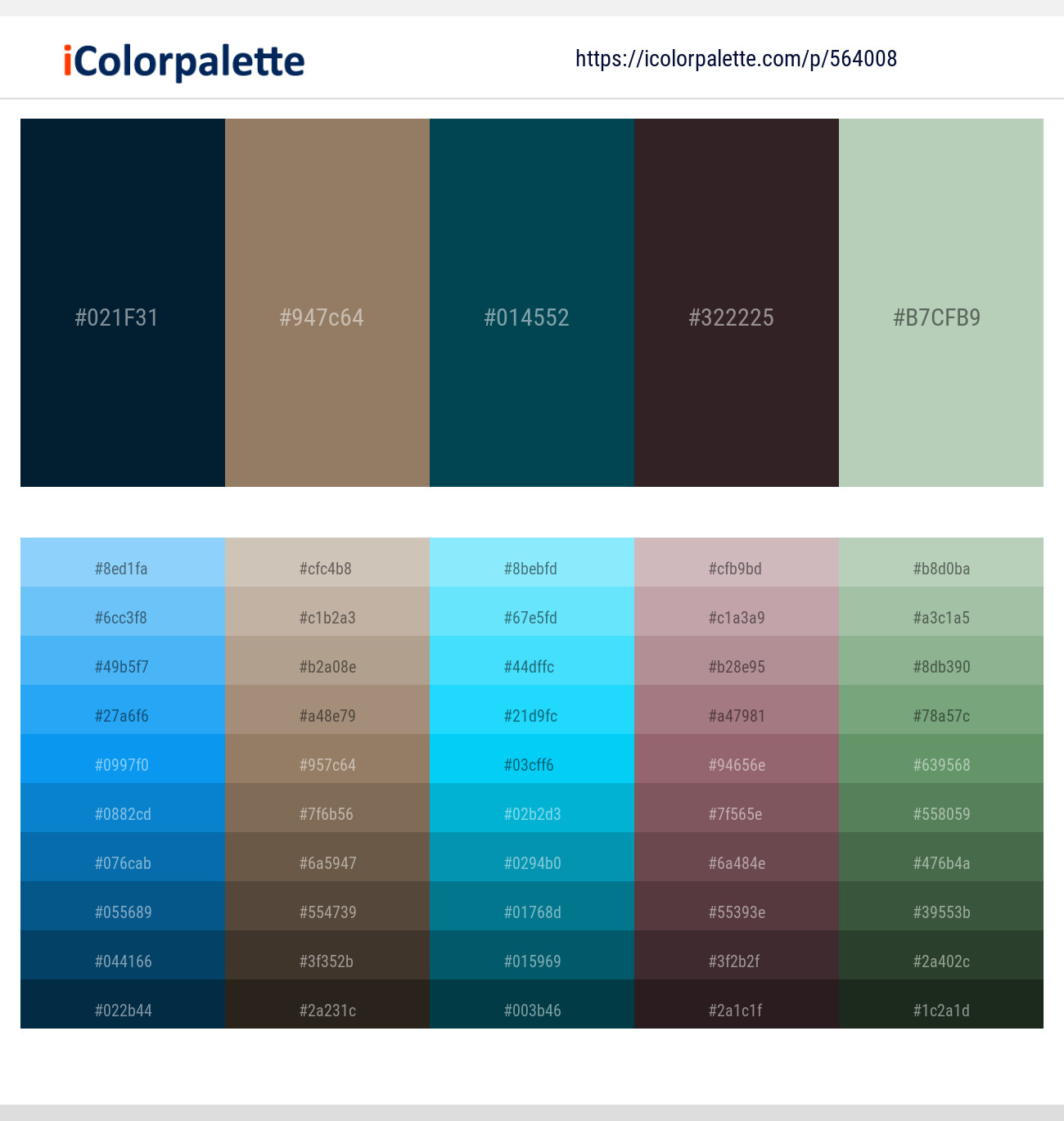 15+ Best Teal Color Palettes (Colors that Go with Teal