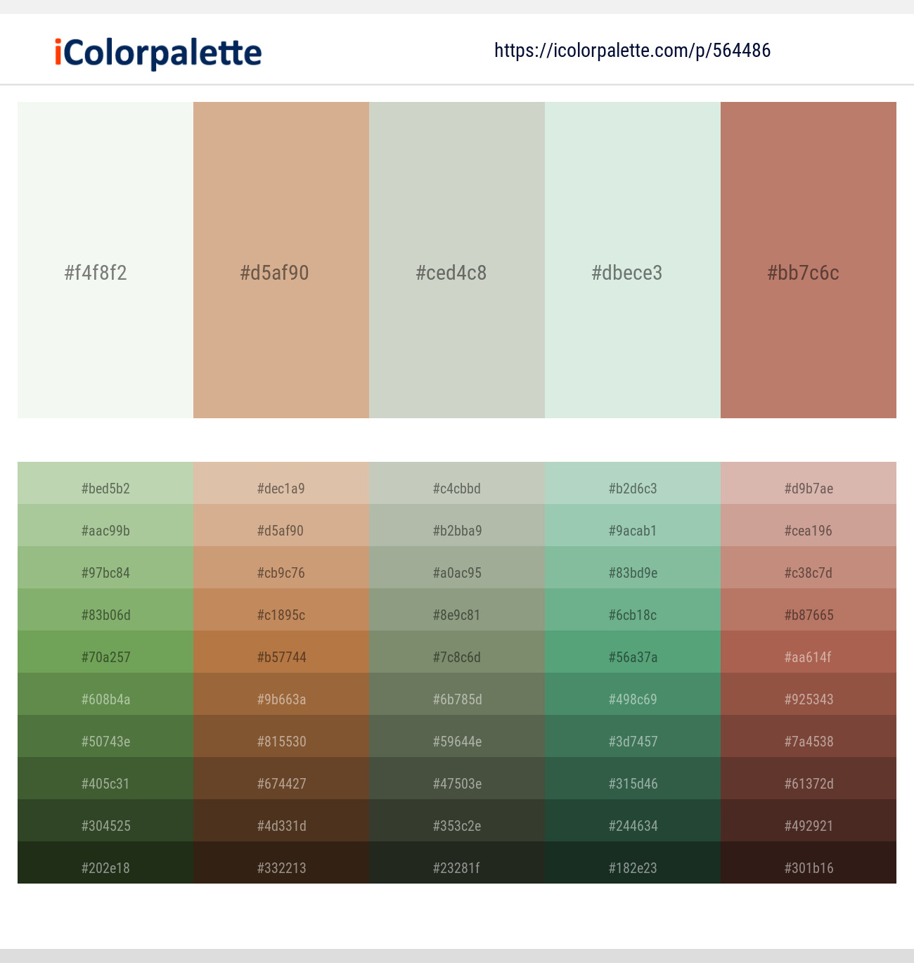 564486Saltpan – Tan – Celeste – Harp – Old Rose Color scheme