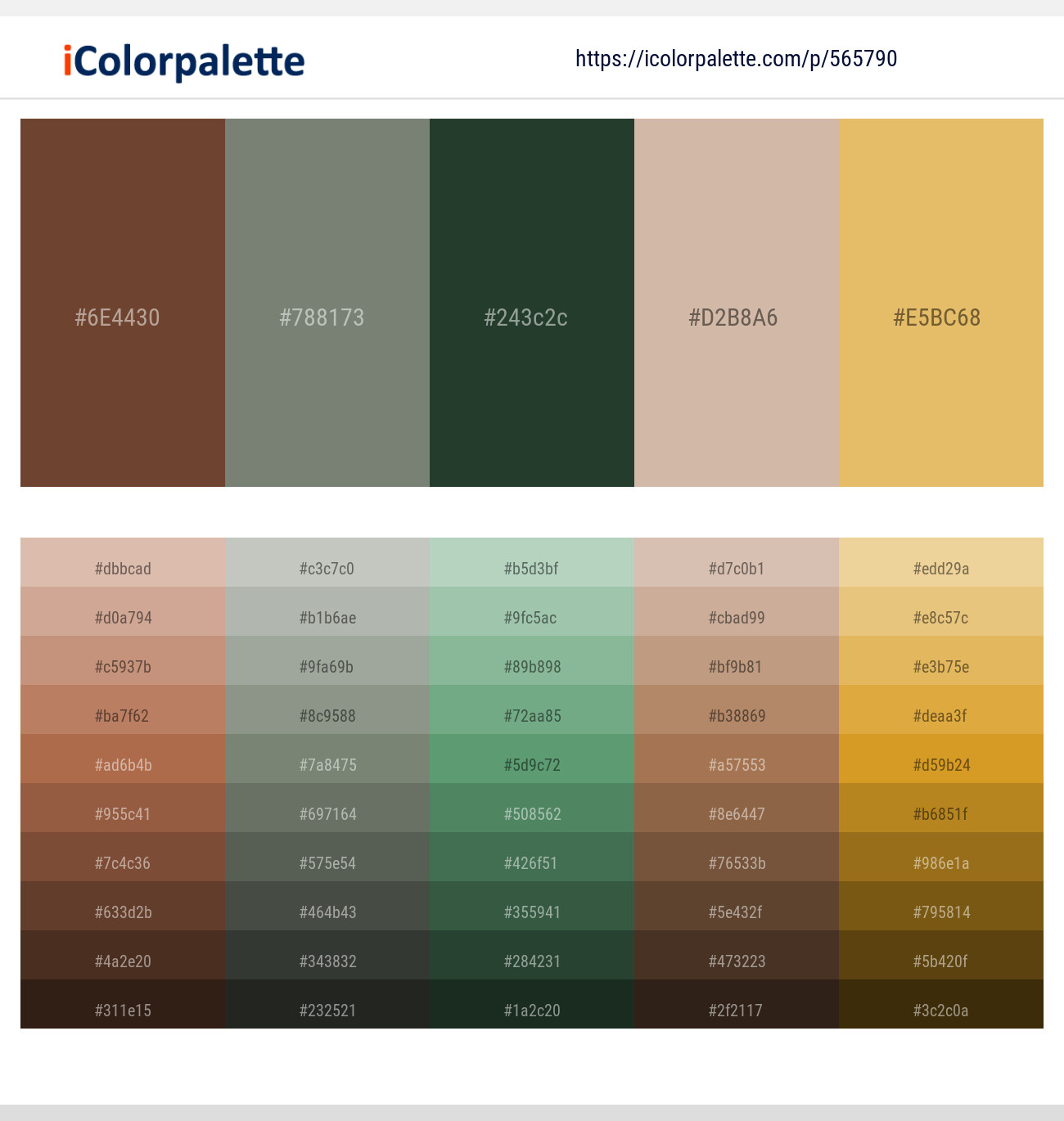 690+ Latest Color Schemes with Camouflage Green Color tone combinations, 2024
