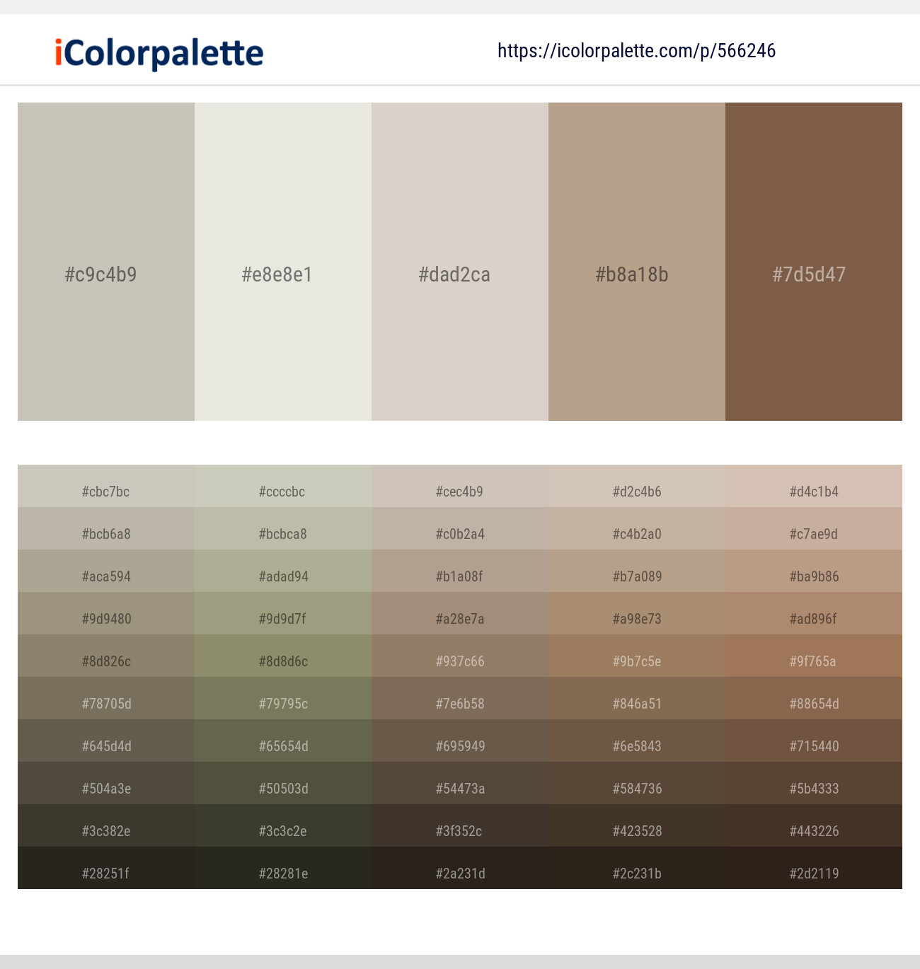 566246Ash – Cararra – Swirl – Mongoose – Roman Coffee Color scheme