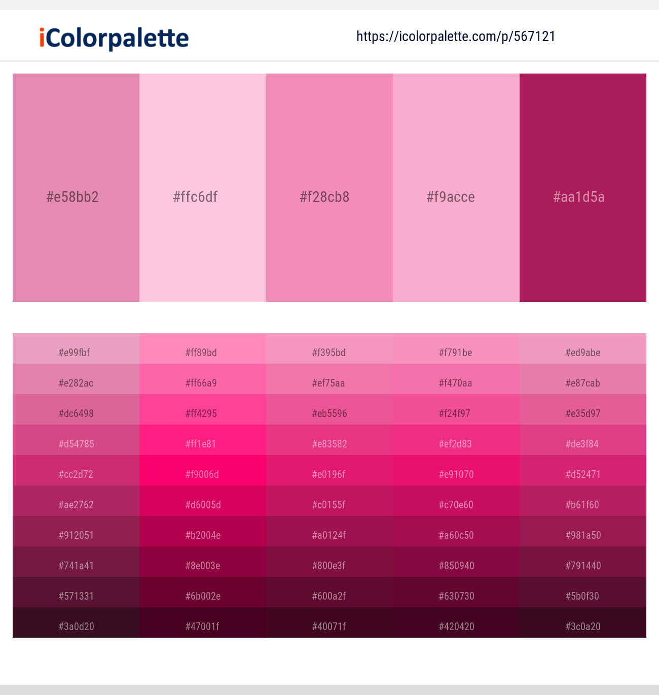 567121Shocking – Pastel Pink – Mauvelous – Lavender Pink – Maroon Flush Color scheme