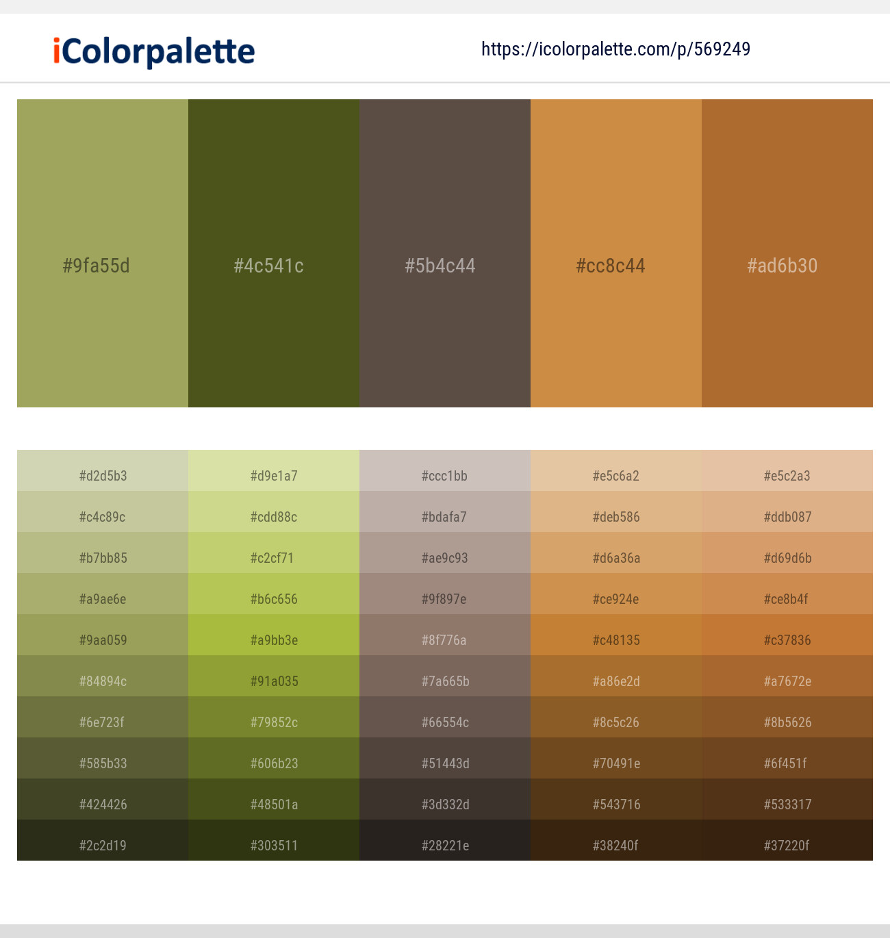 Green Smoke – Thatch Green – Kabul – Raw Sienna – Copper Color scheme