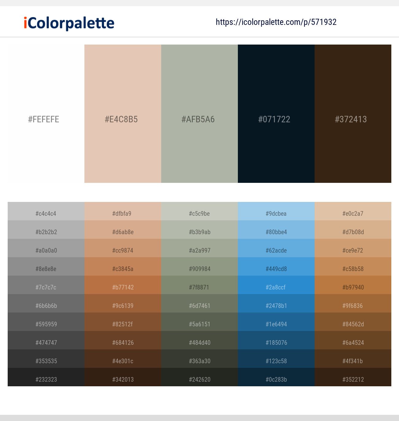 571932White – Grain Brown – Bud – Black Pearl – Mikado Color scheme