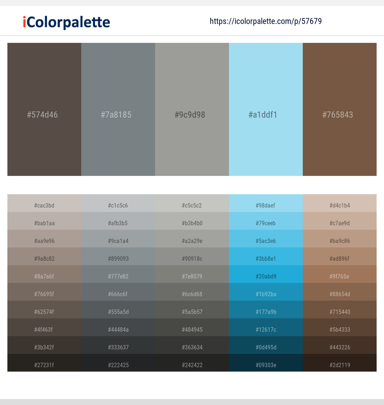 Fuscous Gray – Rolling Stone – Star Dust – Blizzard Blue – Tobacco Brown Color scheme