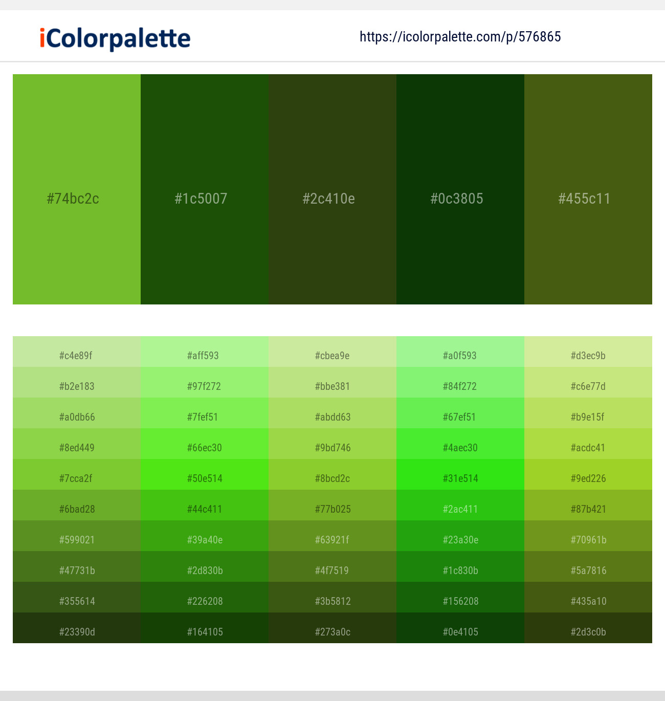 520+ Latest Color Schemes with Forest Green And Dark Green Color tone  combinations, 2024