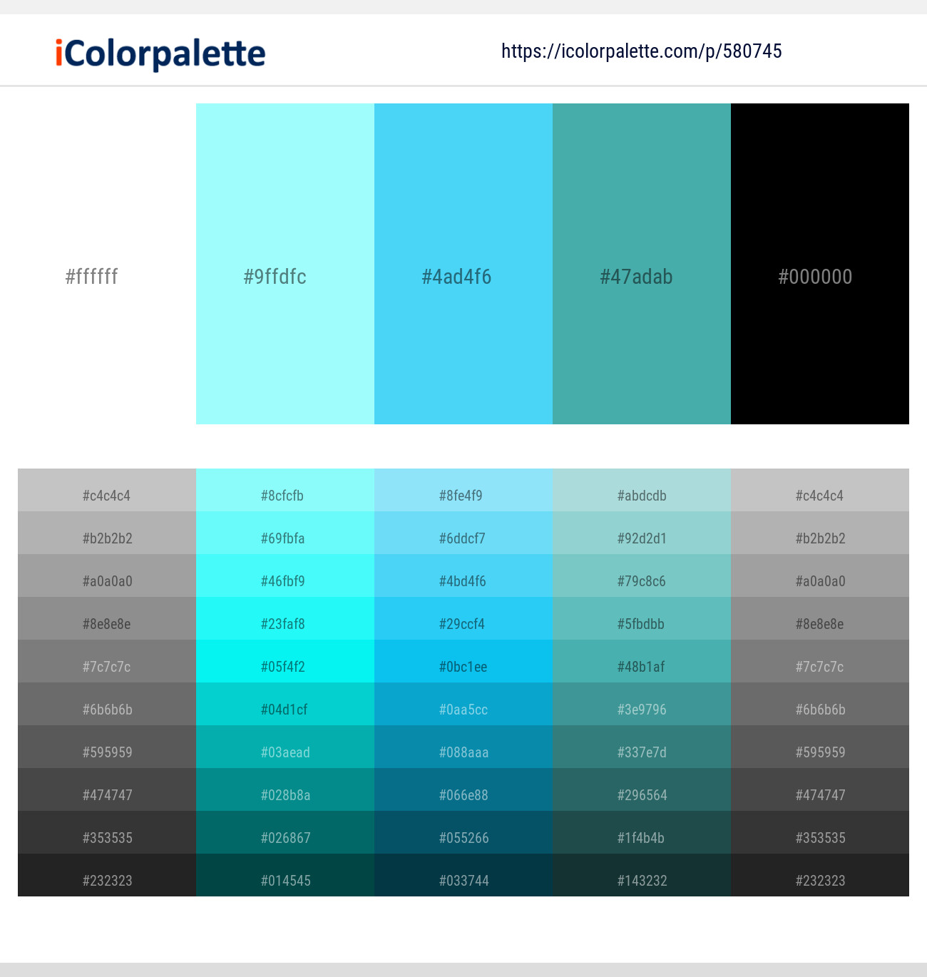 White – Anakiwa – Picton Blue – Fountain Blue – Black Color scheme