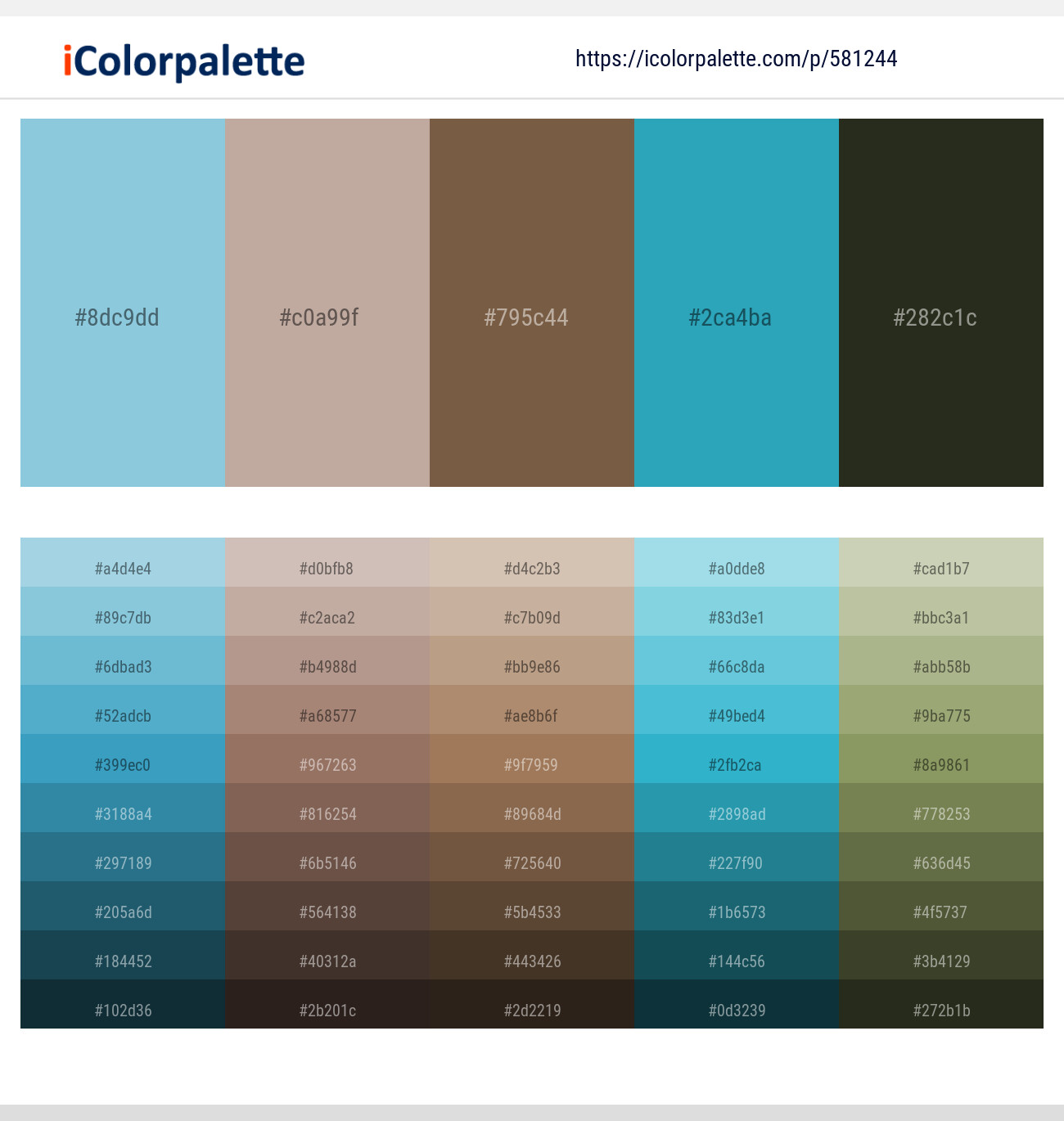 Morning Glory – Malta – Tobacco Brown – Eastern Blue – Rangitoto Color scheme