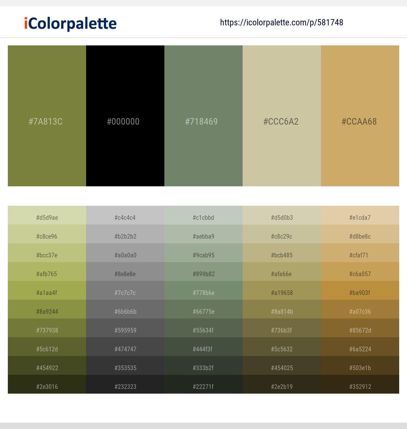 Pesto – Black – Camouflage Green – Chino – Laser Color scheme