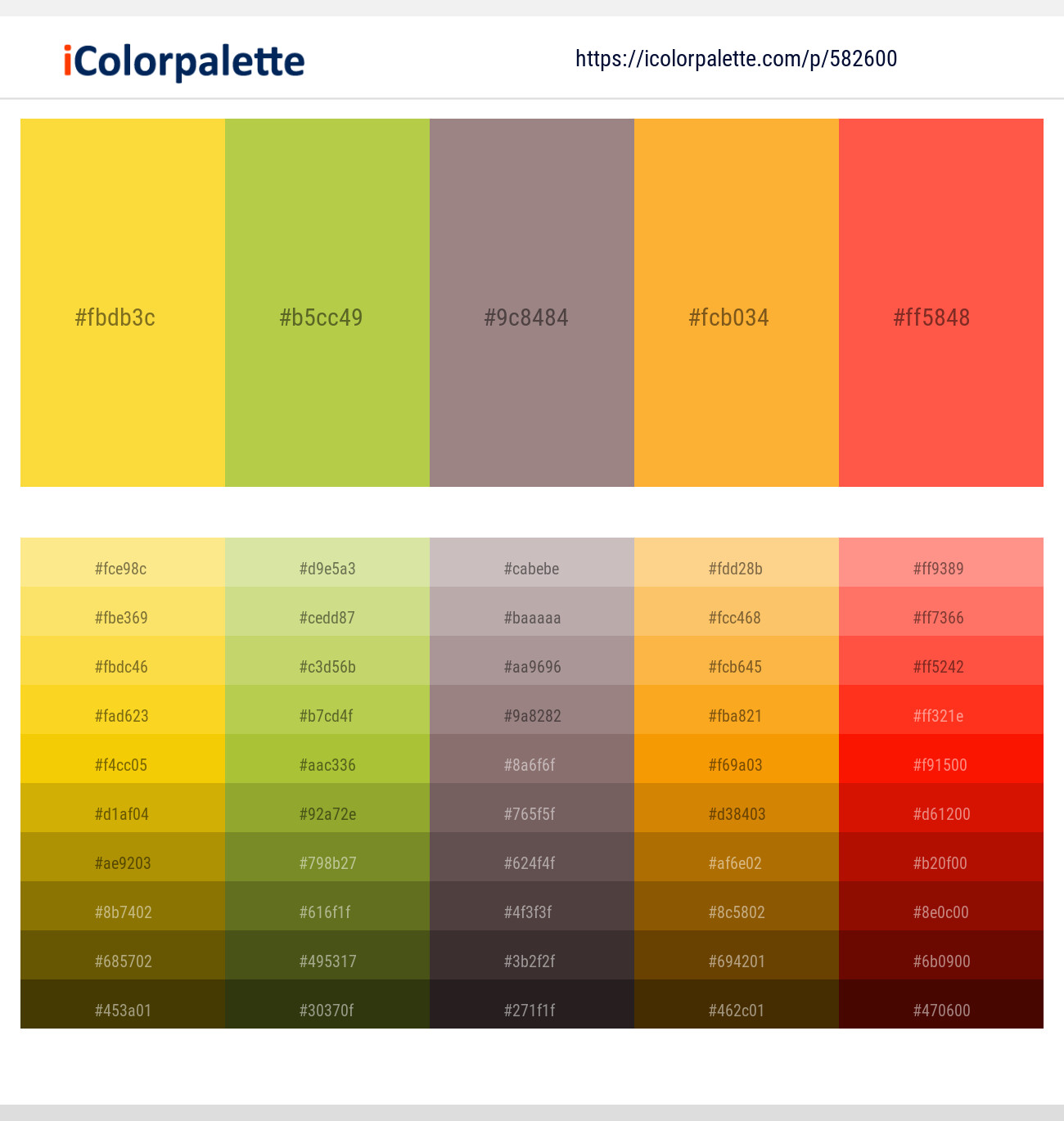 Bright Sun – Turmeric – Bazaar – Sea Buckthorn – Sunset Orange Color scheme