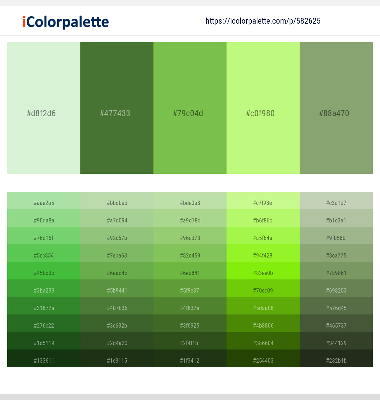 Peppermint – Chalet Green – Mantis – Mindaro – Asparagus Color scheme