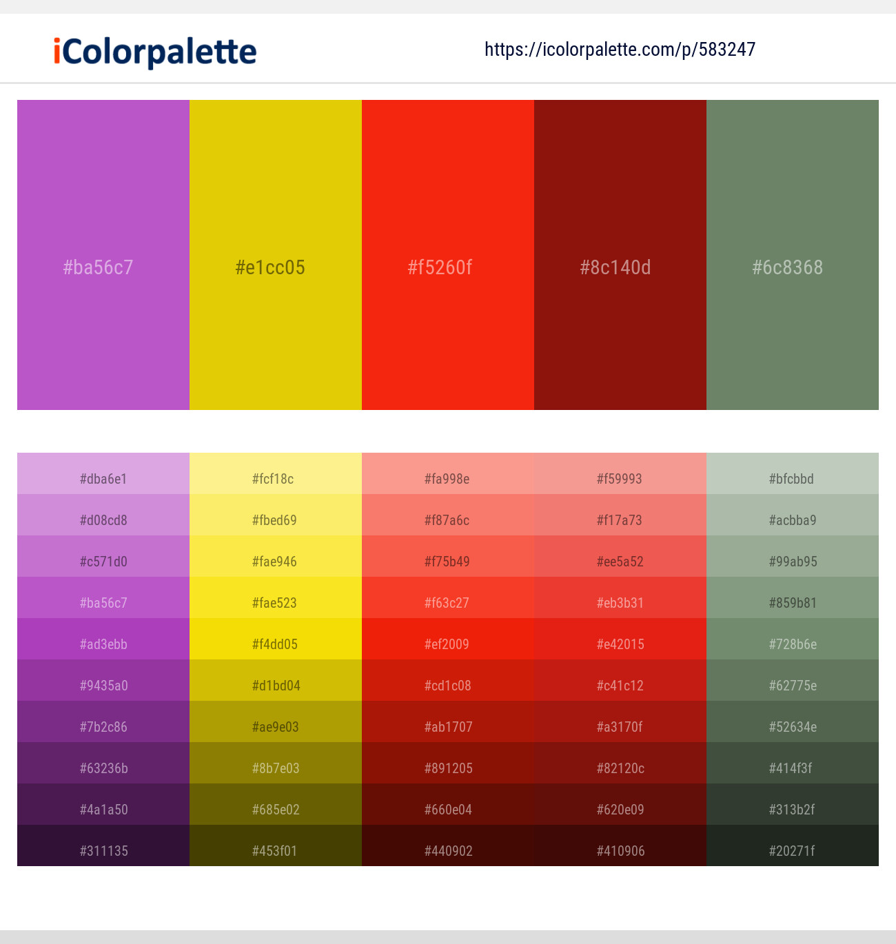 Amethyst – Corn – Scarlet – Tamarillo – Glade Green Color scheme