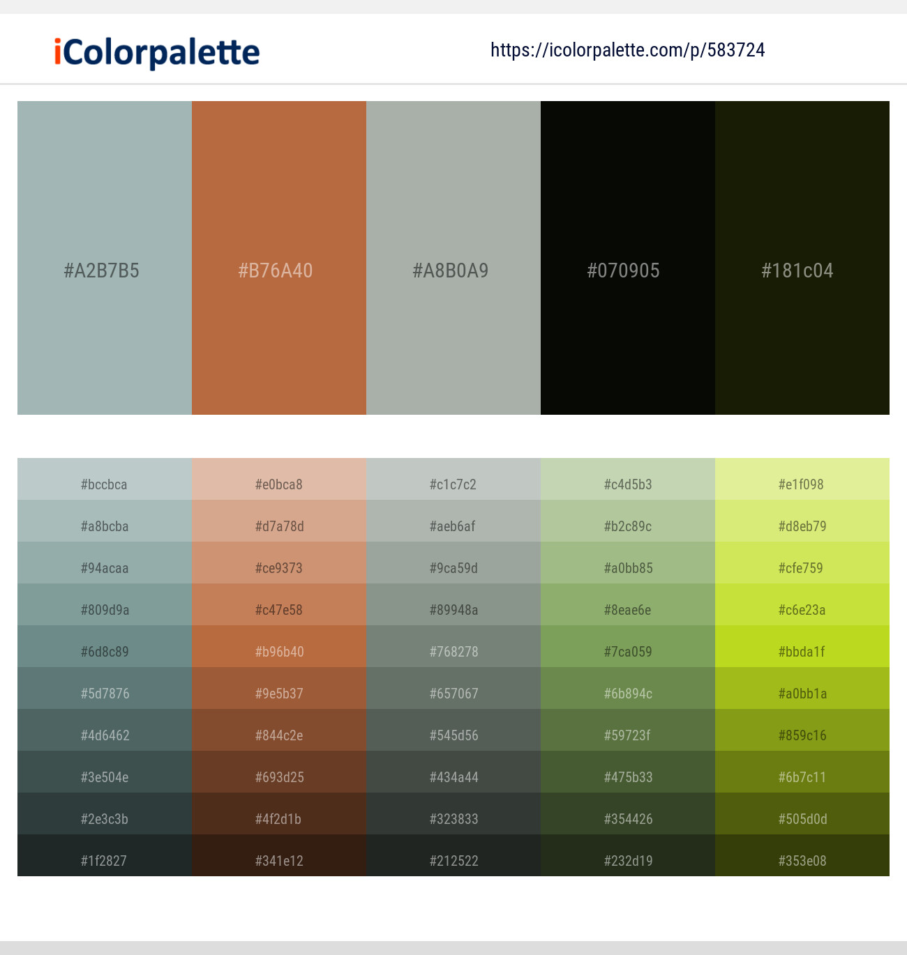 Tower Gray – Brown Rust – Edward – Marshland – Pine Tree Color scheme