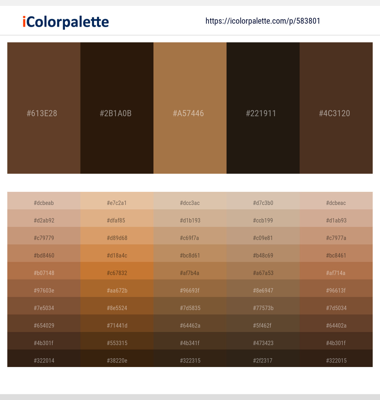 583801Irish Coffee – El Paso – Cape Palliser – Oil – Saddle Color scheme