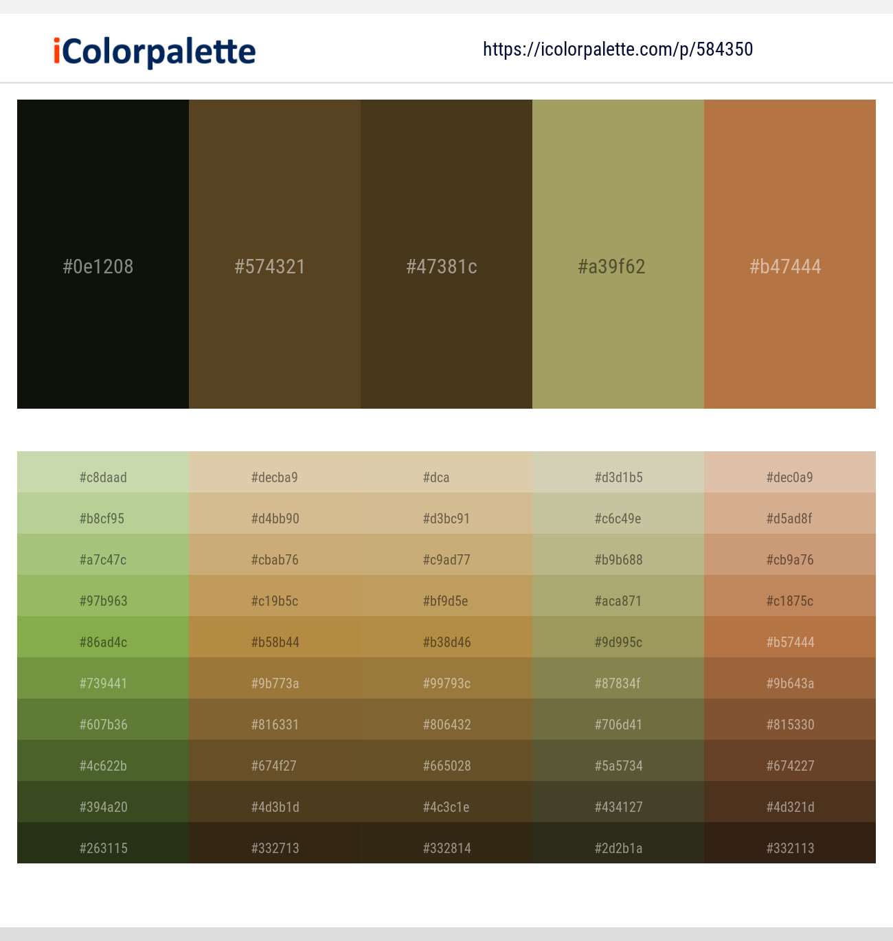 Black – Irish Coffee – Metallic Bronze – Barley Corn – Cape Palliser Color scheme