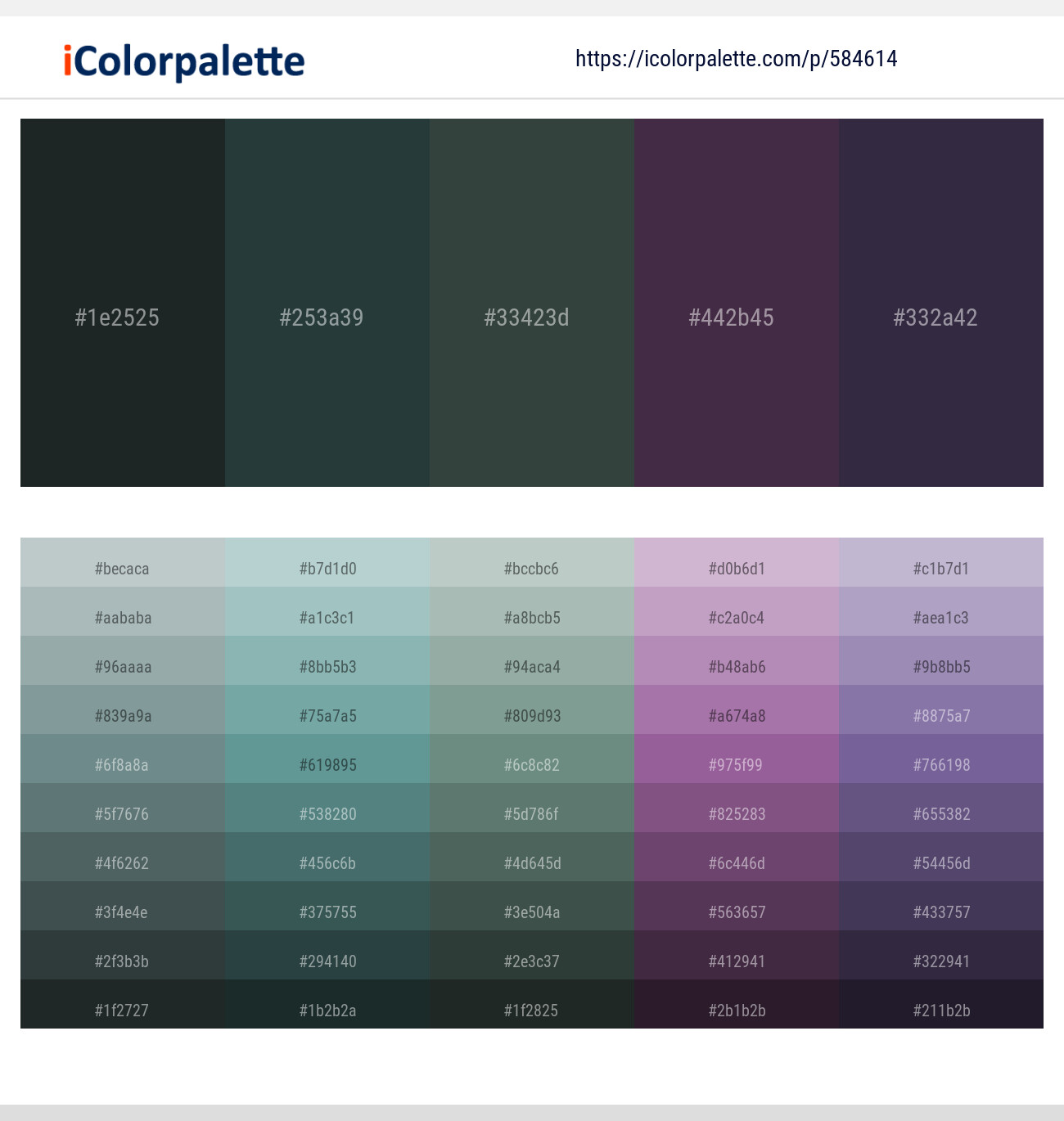 Outer Space – Outer Space – Cape Cod – Voodoo – Blackcurrant Color scheme