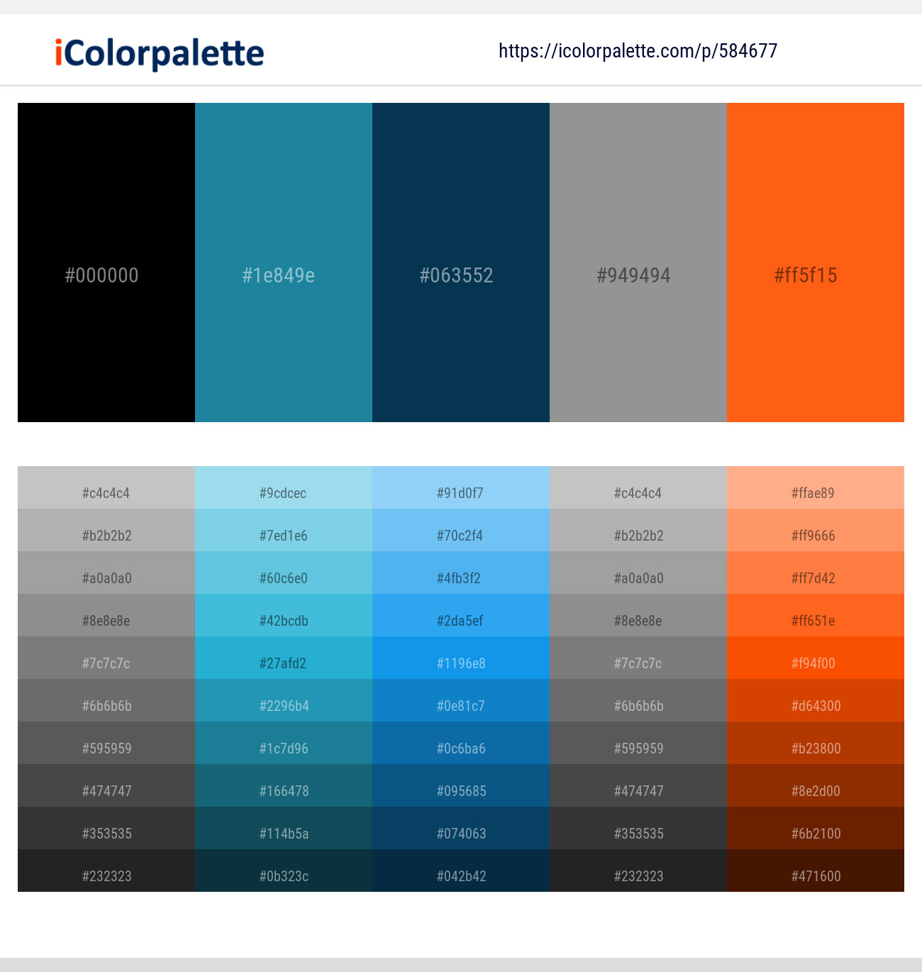 2270+ Black And Gray Color Palettes & Gradient Ideas | iColorPalette